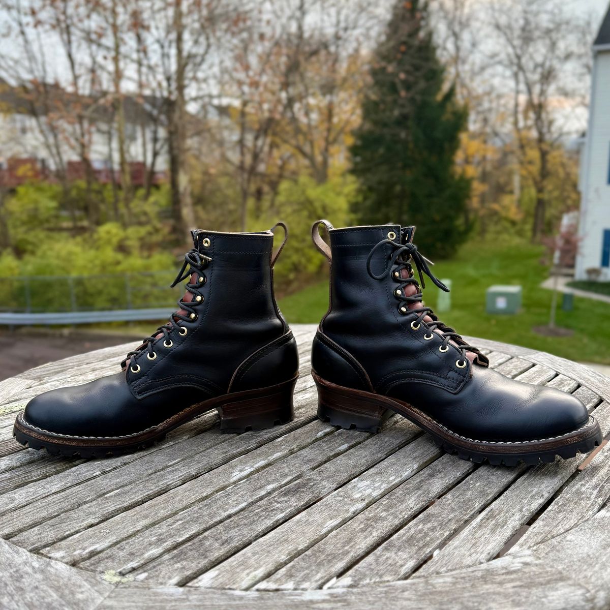 Photo by Ed on November 21, 2025 of the Nicks MTO in Shackleton.