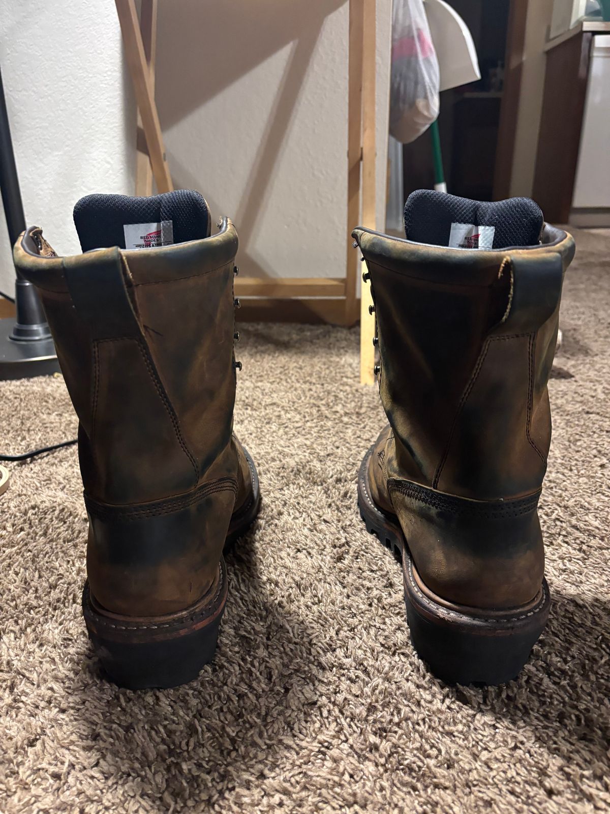 Photo by mylordchanel on October 3, 2025 of the Red Wing Loggermax in Red Wing Leather & Nubuck.