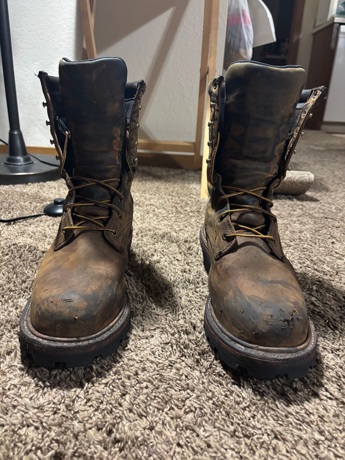 Photo by mylordchanel on October 3, 2025 of the Red Wing Loggermax in Red Wing Leather & Nubuck.