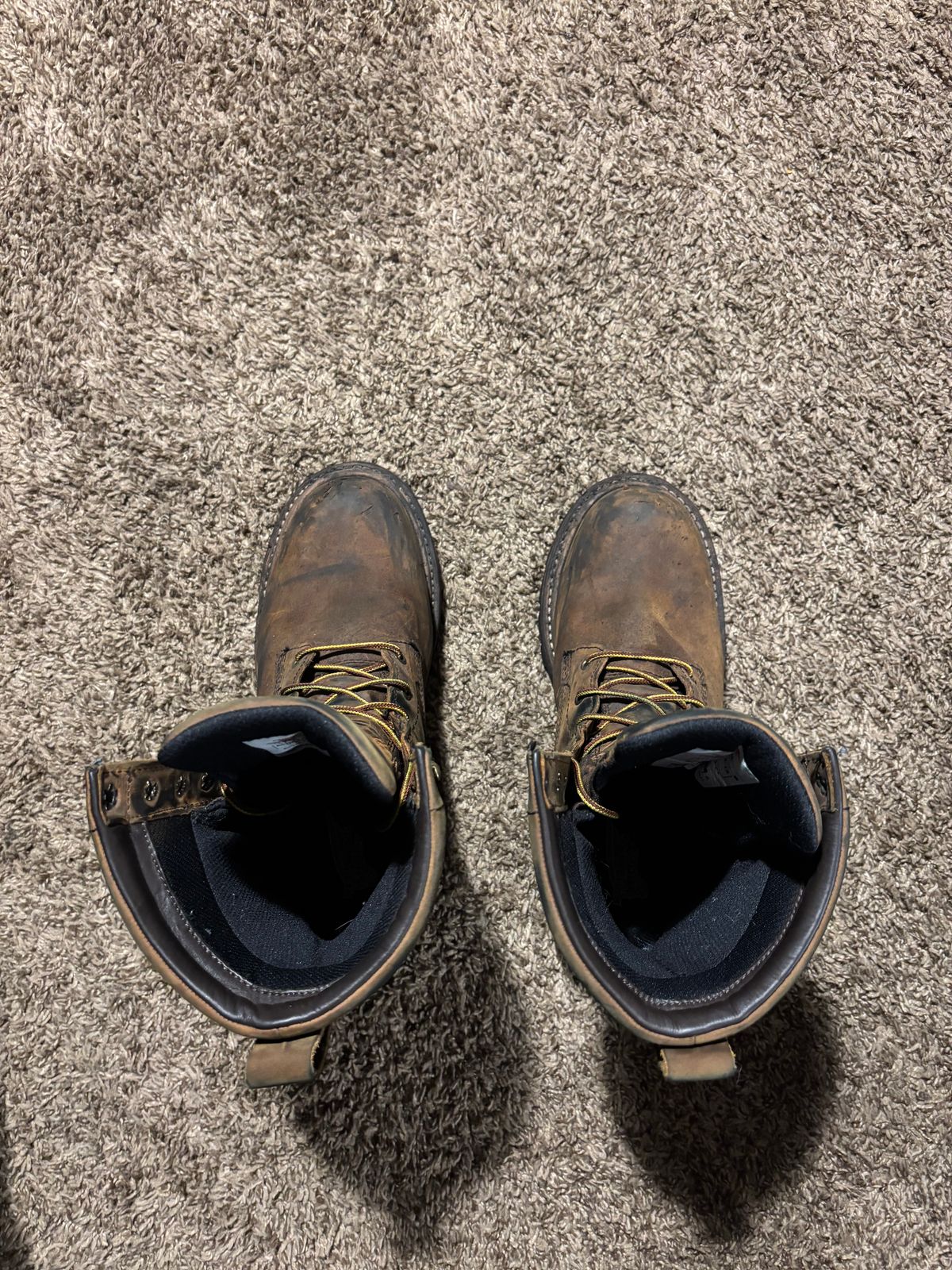 Photo by mylordchanel on October 3, 2025 of the Red Wing Loggermax in Red Wing Leather & Nubuck.