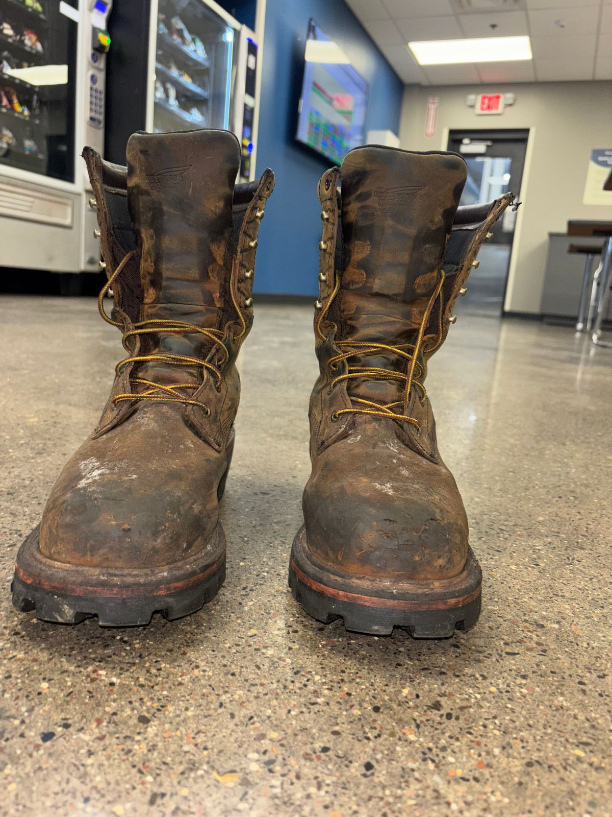 Photo by mylordchanel on December 3, 2025 of the Red Wing Loggermax in Red Wing Leather & Nubuck.
