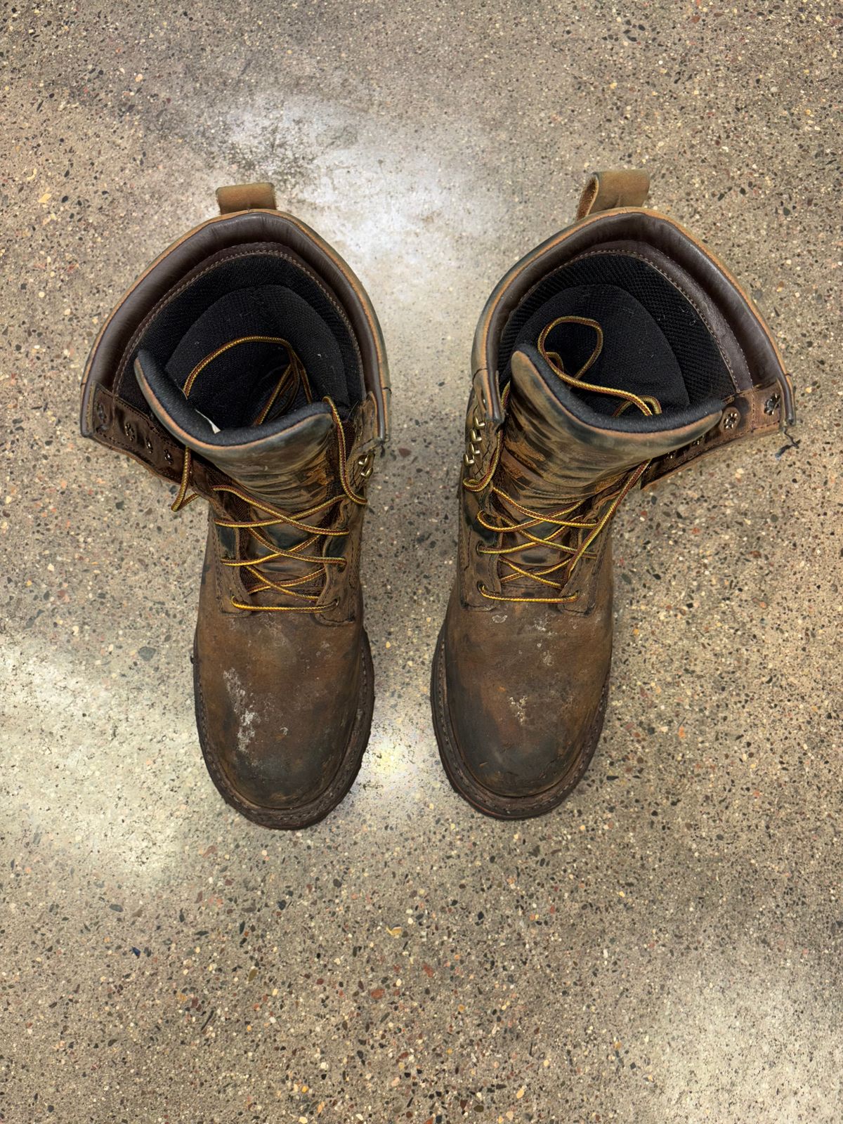 Photo by mylordchanel on December 3, 2025 of the Red Wing Loggermax in Red Wing Leather & Nubuck.