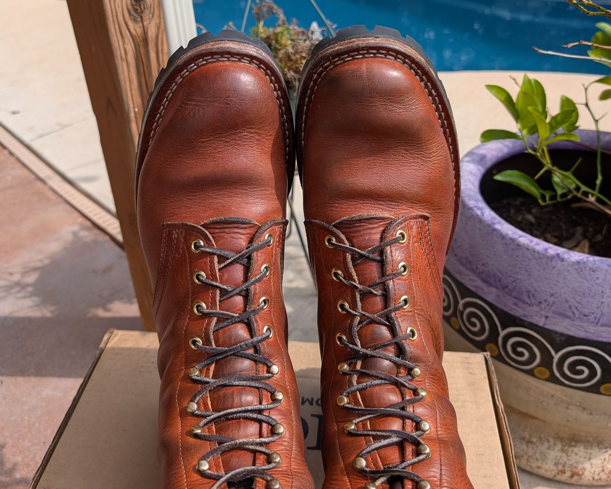 Photo by rayminazzi on November 1, 2025 of the Nicks DomePro in Horween English Tan Dublin.