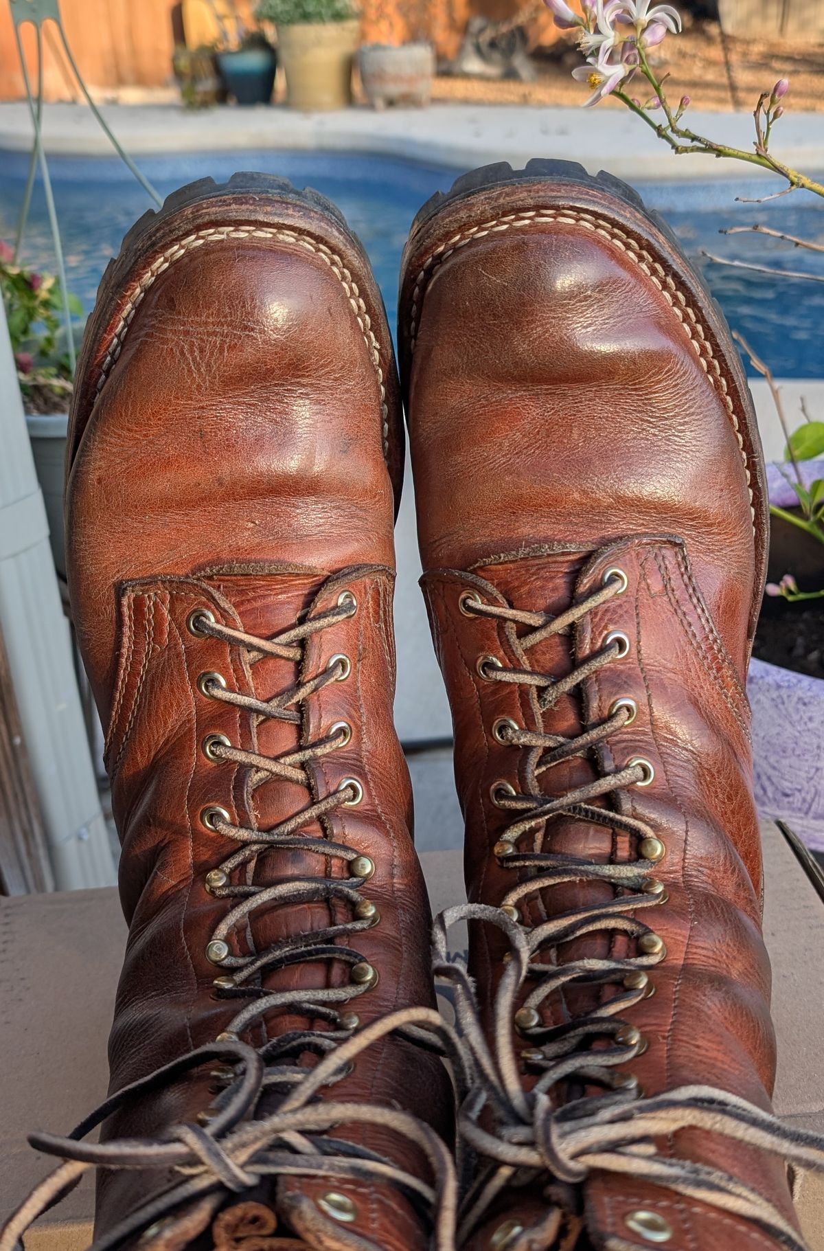 Photo by undertension on March 3, 2026 of the Nicks DomePro in Horween English Tan Dublin.