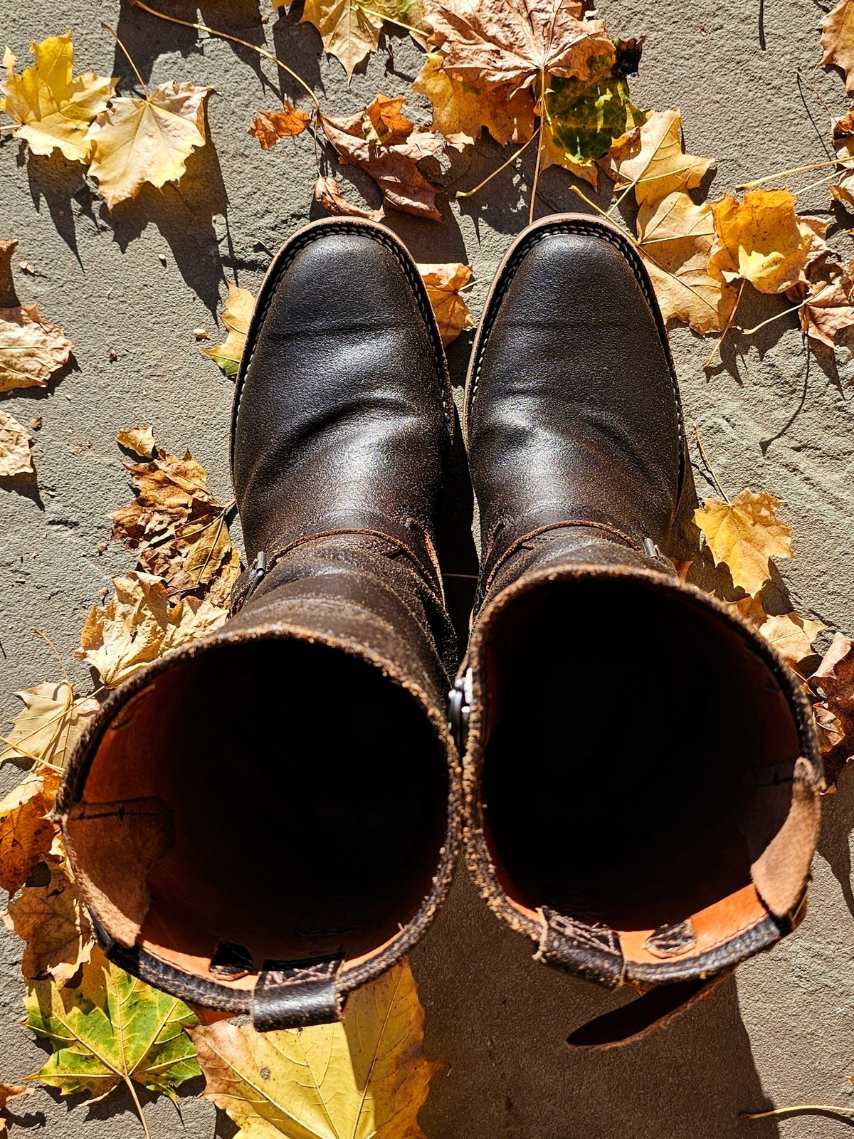 Photo by DaveWilkes on November 5, 2024 of the Wesco Standard And Strange Collab: The Quick Striker in Horween Olive Waxed Flesh.
