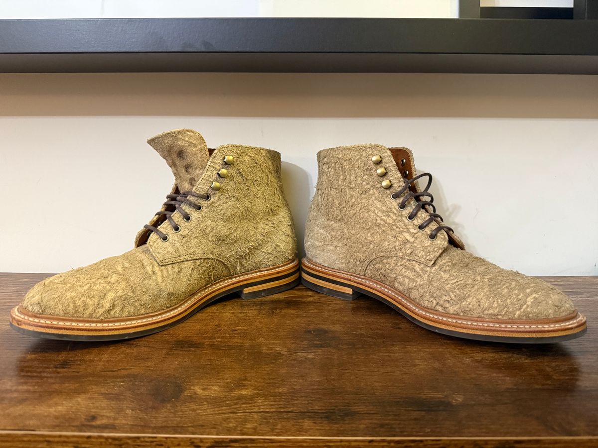 Photo by Shabazkilla on March 8, 2025 of the Grant Stone Edward Boot in C.F. Stead Milkshake Rough Suede.