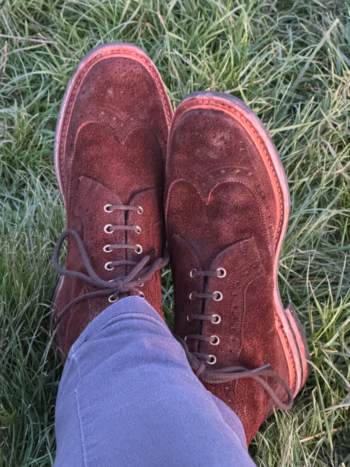 Photo by claus on November 29, 2024 of the Tricker's Simon Longwing Brogue Boot in C.F. Stead Ridge Waxed Reverse Suede.