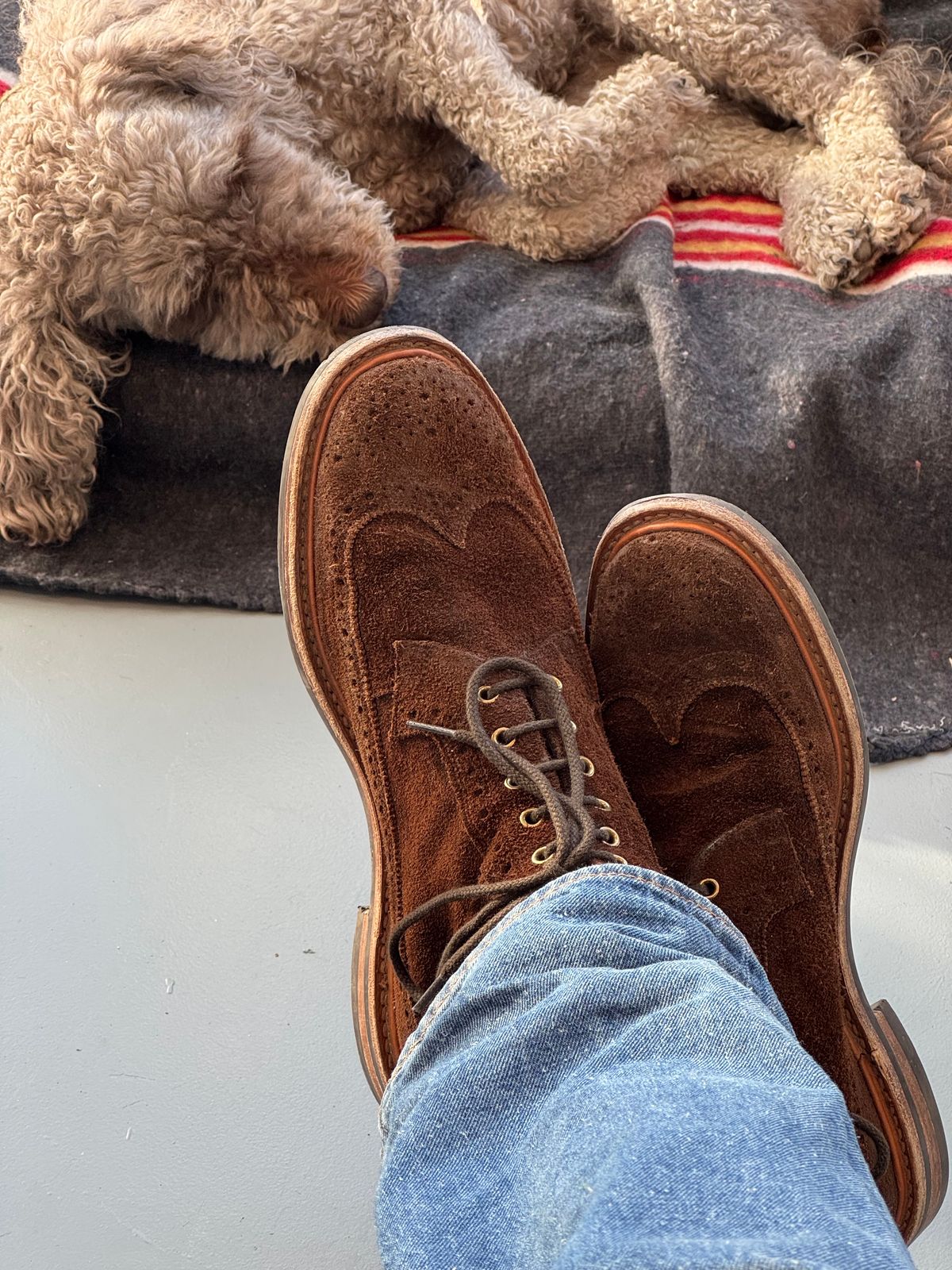 Photo by claus on March 21, 2025 of the Tricker's Simon Longwing Brogue Boot in C.F. Stead Ridge Waxed Reverse Suede.