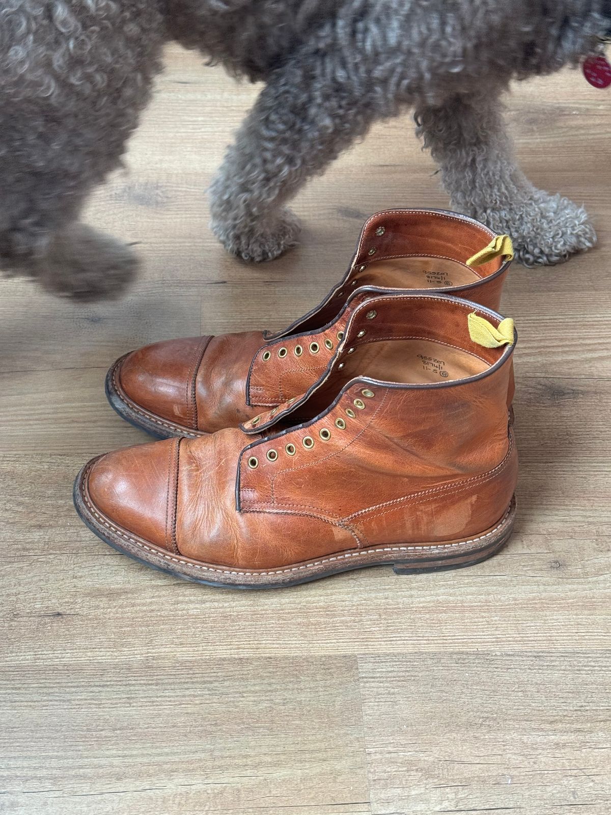 Photo by claus on March 1, 2026 of the Tricker's Churchill in Horween Natural Dublin.