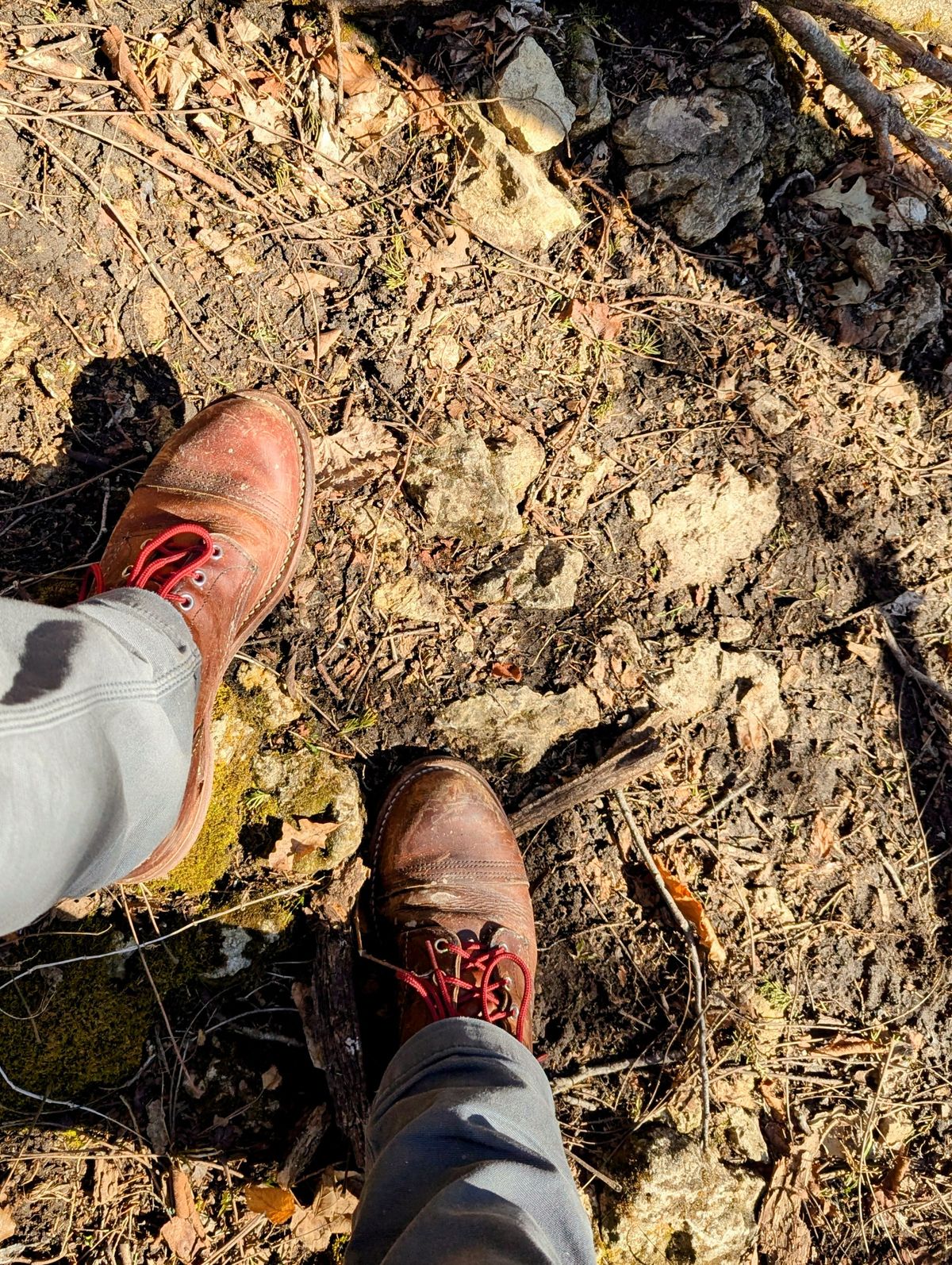 Photo by j3553 on March 19, 2026 of the Red Wing Iron Ranger in S.B. Foot Copper Rough and Tough.