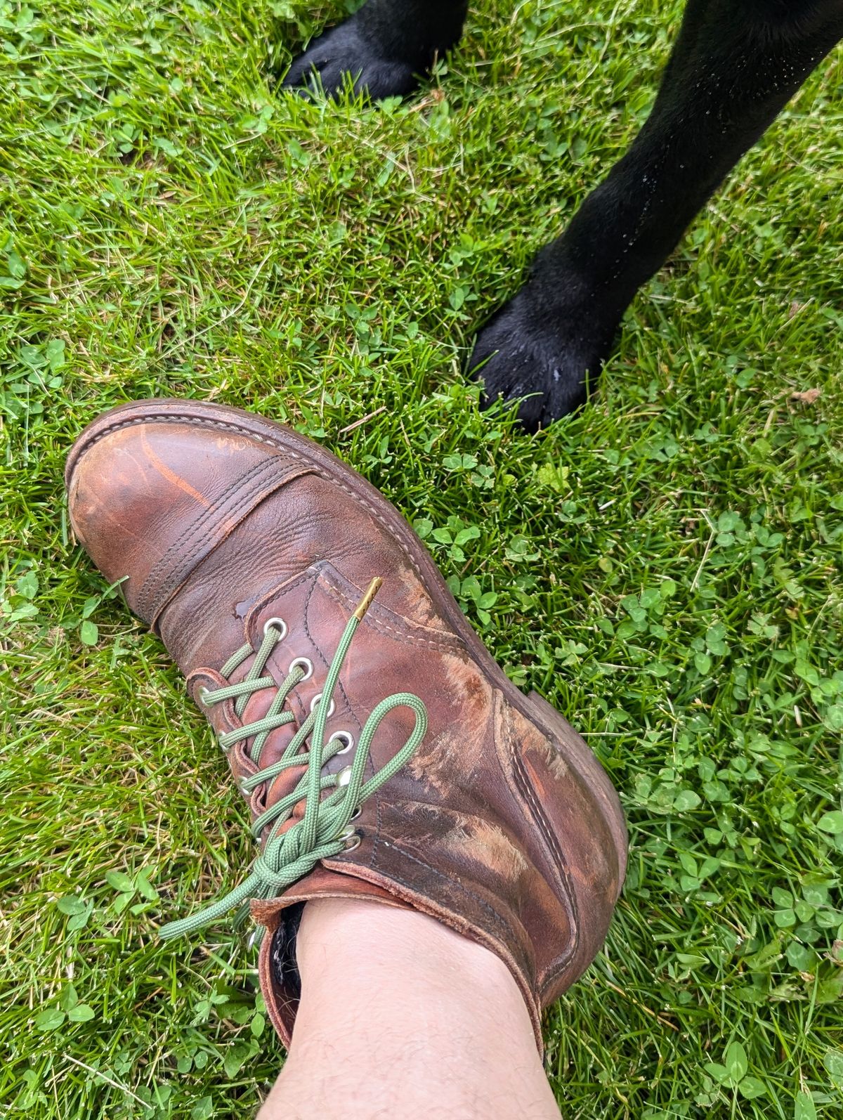 Photo by j3553 on June 15, 2026 of the Red Wing Iron Ranger in S.B. Foot Copper Rough and Tough.