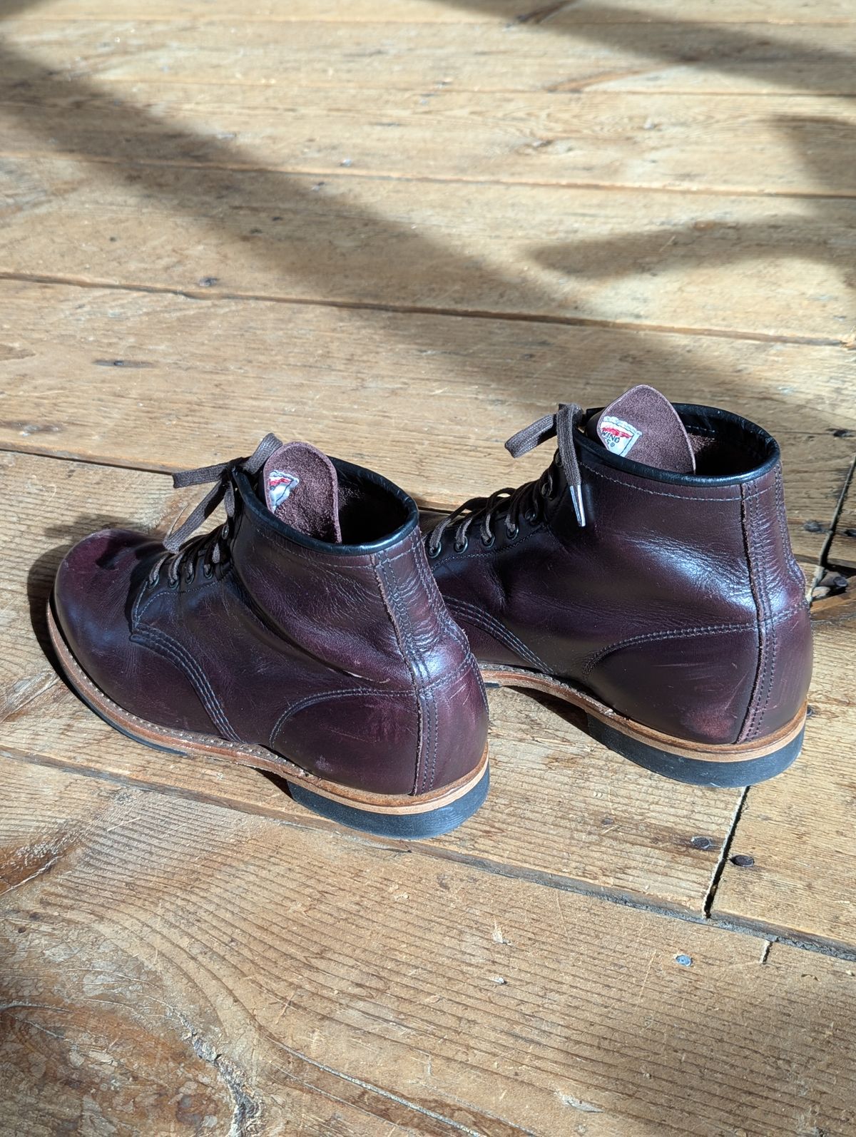 Photo by j3553 on February 21, 2026 of the Red Wing Beckman in S.B. Foot Black Cherry Excalibur.