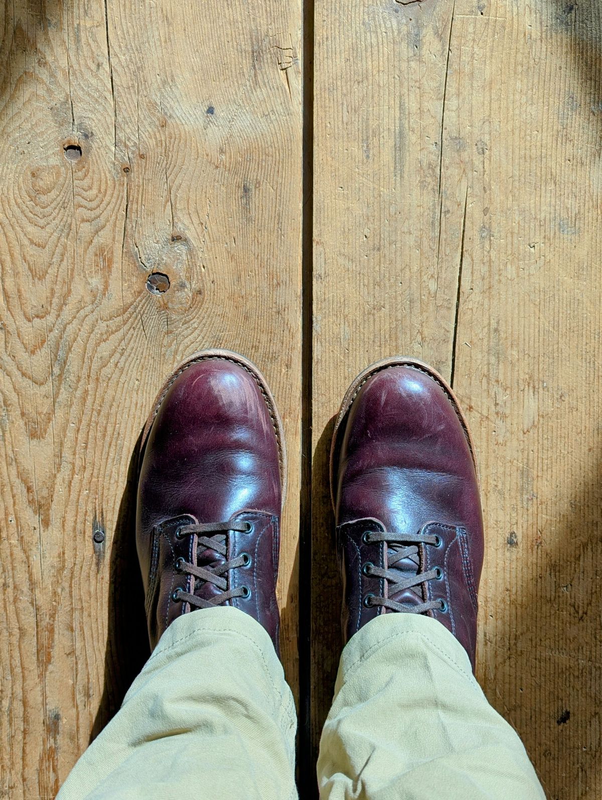 Photo by j3553 on February 21, 2026 of the Red Wing Beckman in S.B. Foot Black Cherry Excalibur.