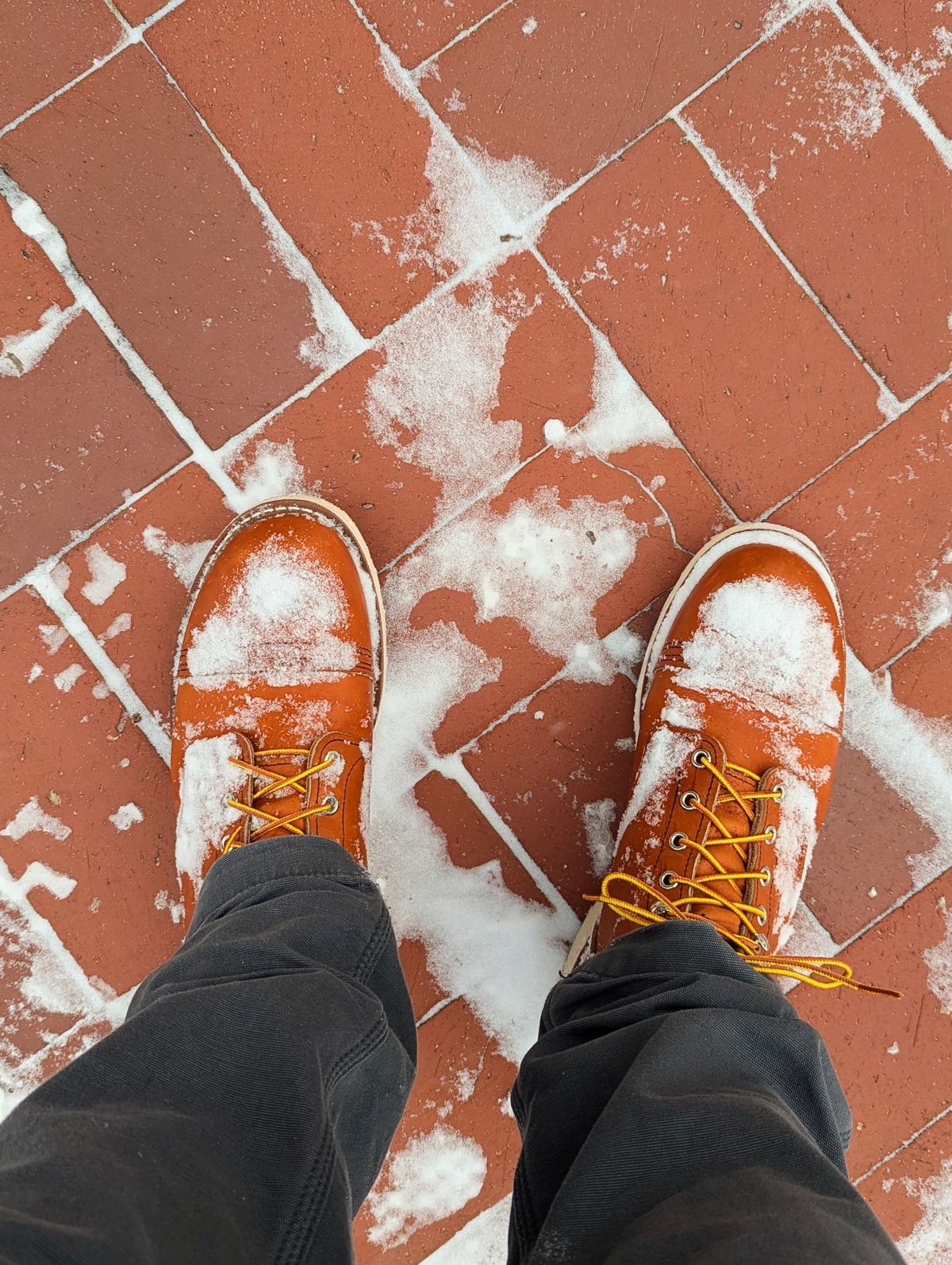 Photo by j3553 on March 16, 2026 of the Red Wing Iron Ranger in S.B. Foot Oro Legacy.