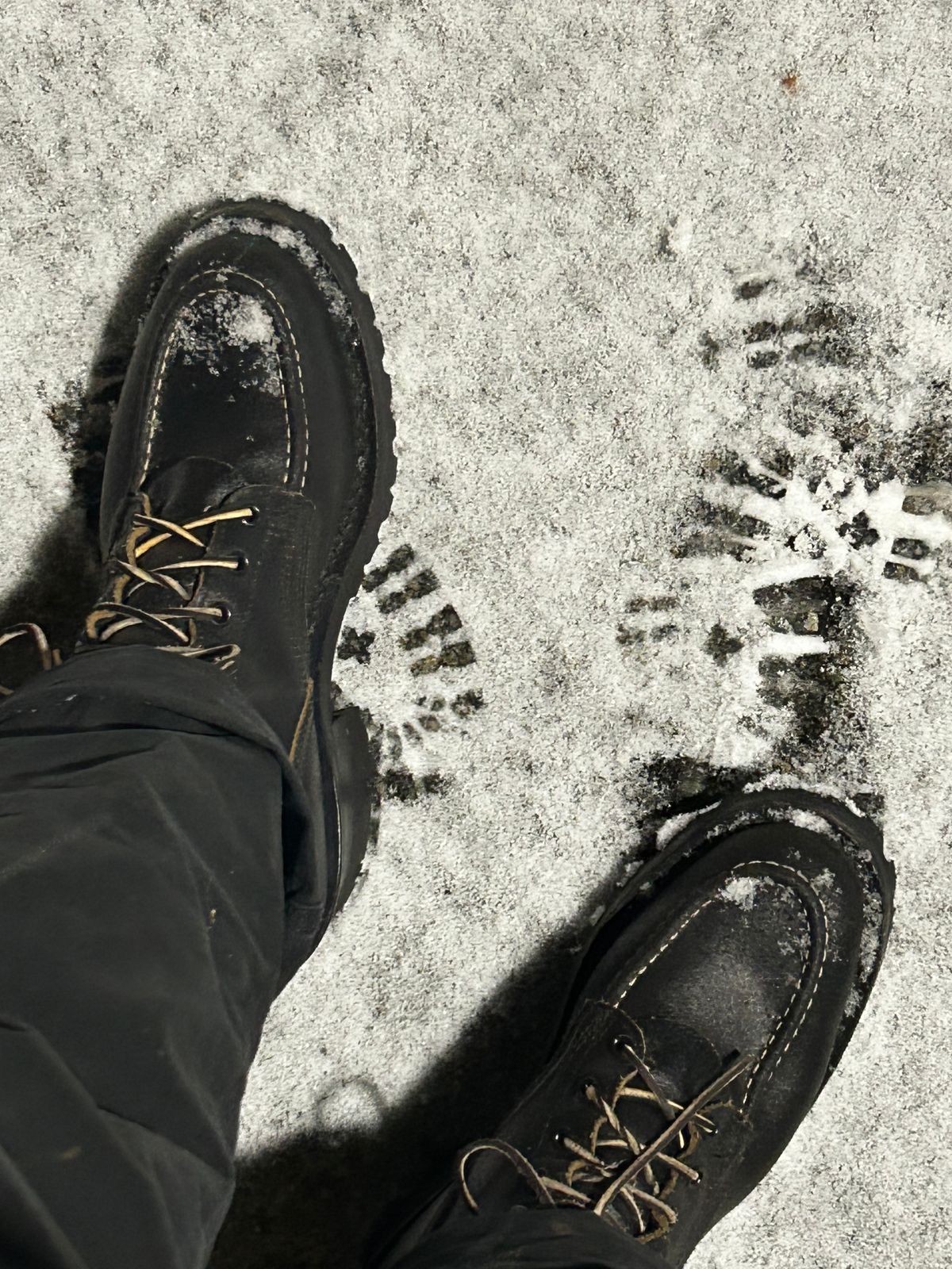 Photo by Honch on January 22, 2025 of the Nicks BuilderPro in Horween Black Waxed Flesh.