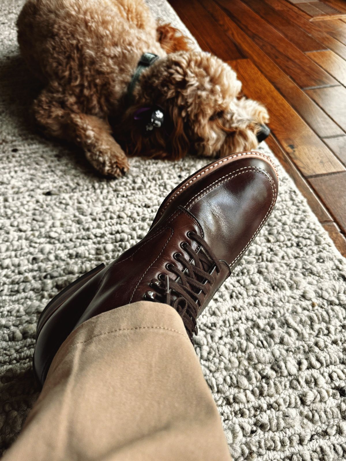 Photo by clintashlock on November 2, 2024 of the Alden Indy Boot in Horween Brown Chromexcel.