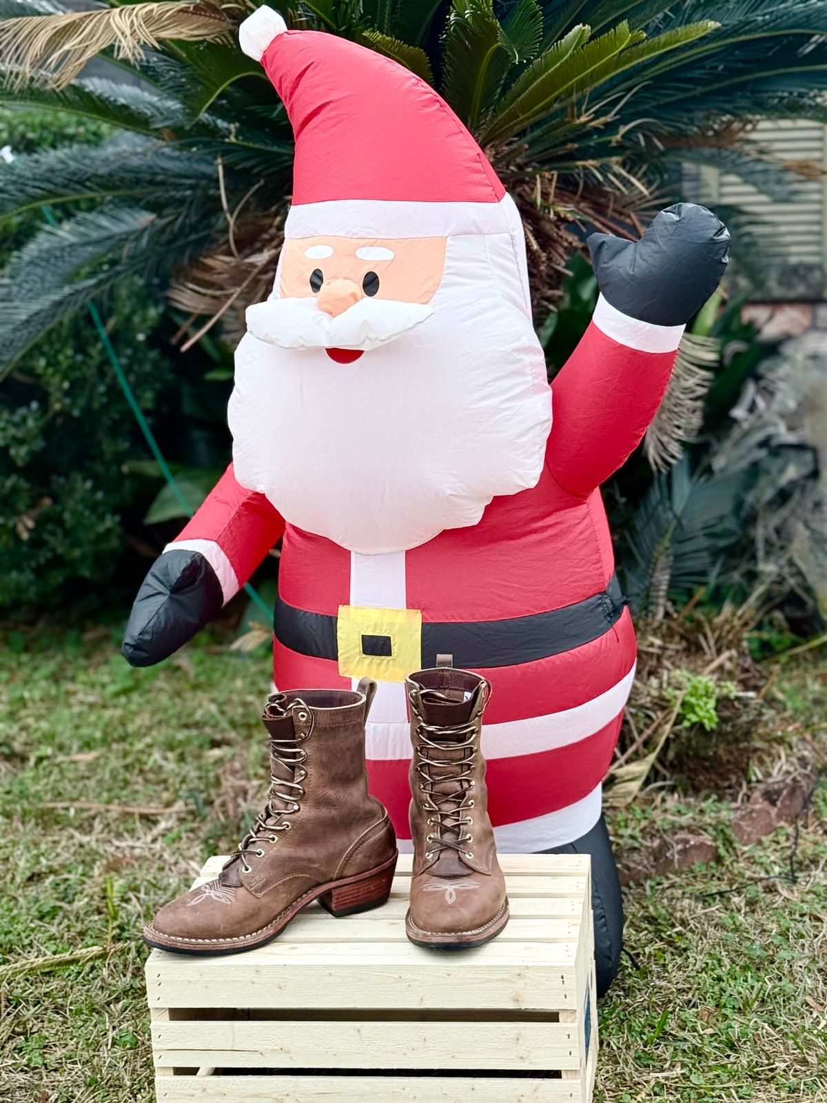 Photo by PatinaThunderDazzle on January 2, 2026 of the Nicks Packer in Predator Natural.