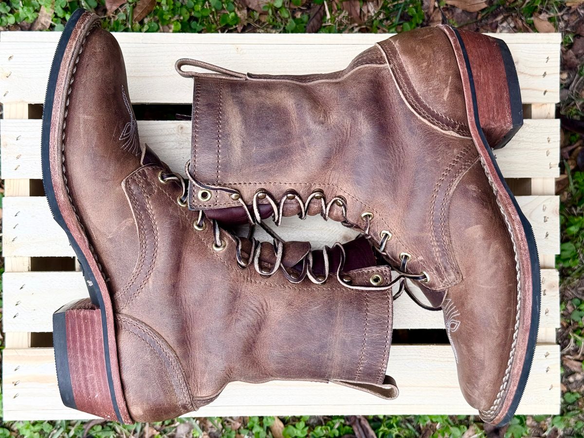 Photo by PatinaThunderDazzle on January 2, 2026 of the Nicks Packer in Predator Natural.