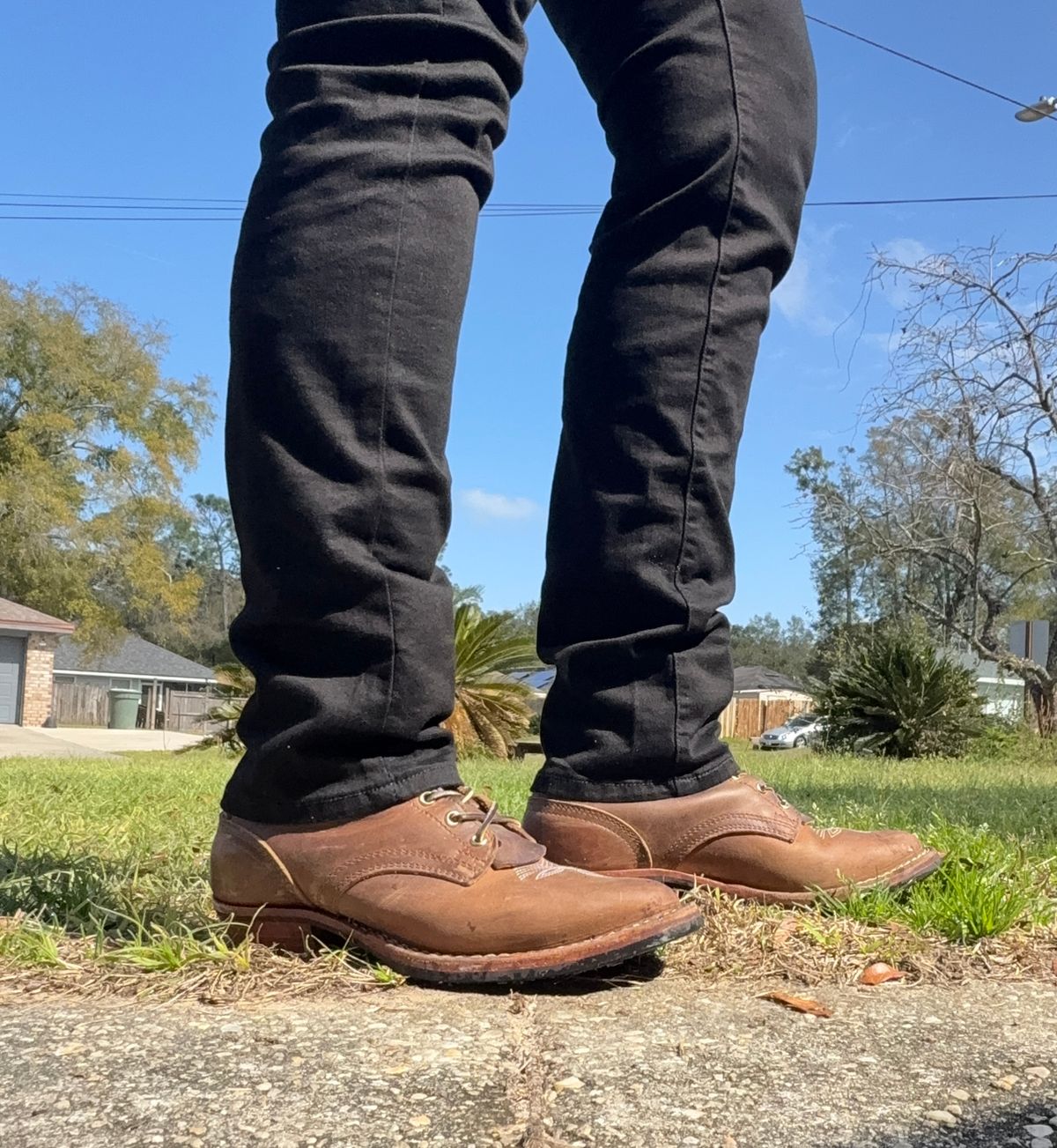 Photo by PatinaThunderDazzle on March 2, 2026 of the Nicks Packer in Predator Natural.