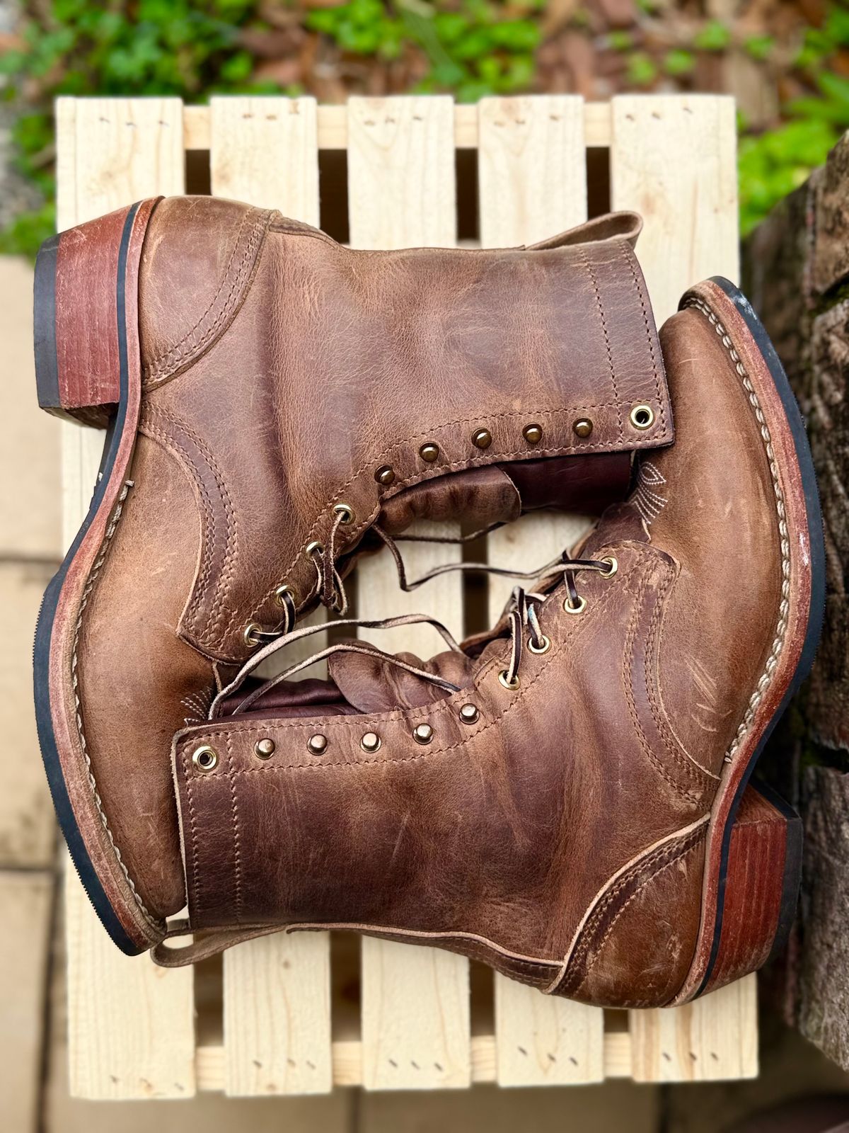 Photo by PatinaThunderDazzle on March 5, 2026 of the Nicks Packer in Predator Natural.