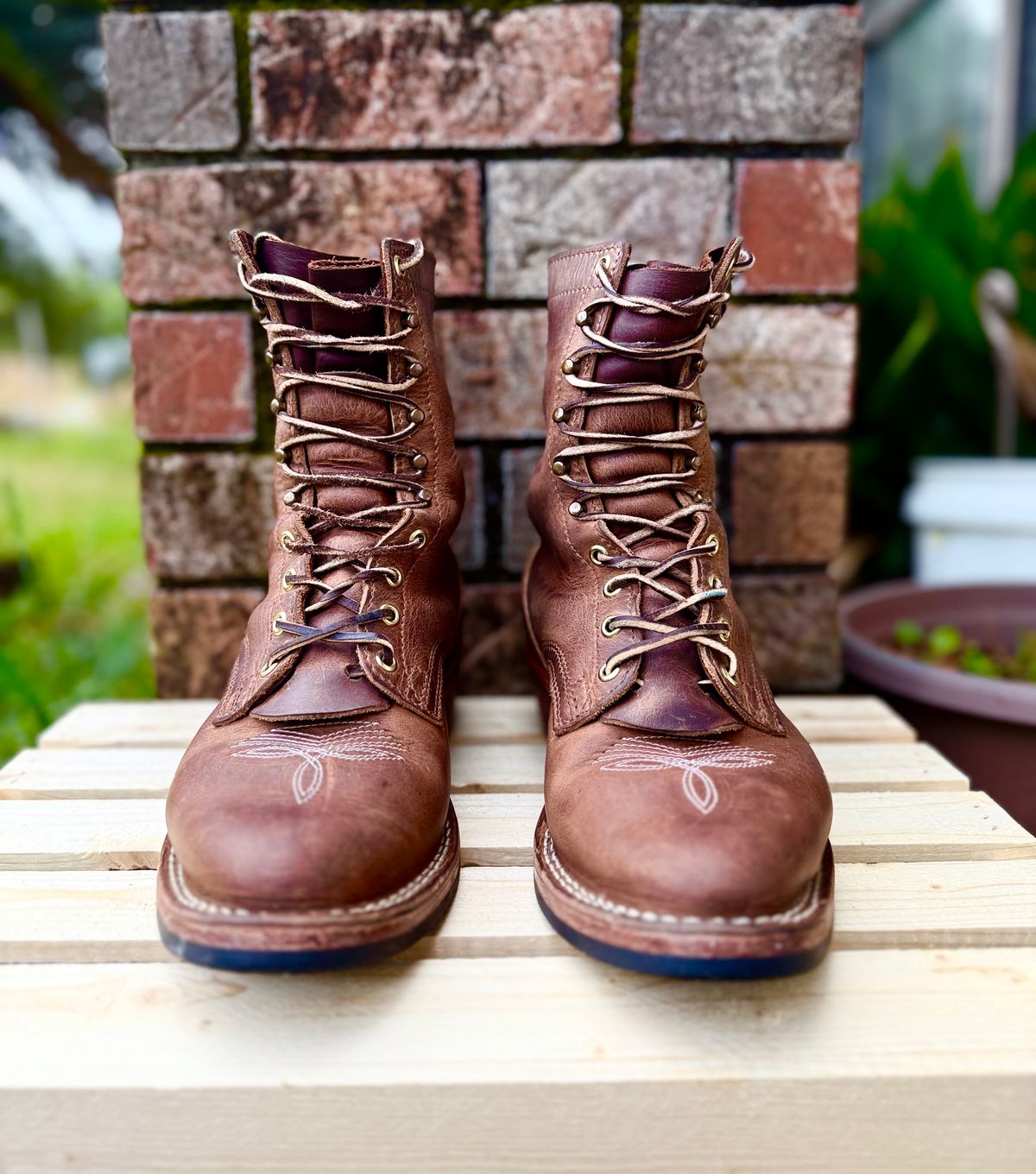 Photo by PatinaThunderDazzle on April 3, 2026 of the Nicks Packer in Predator Natural.