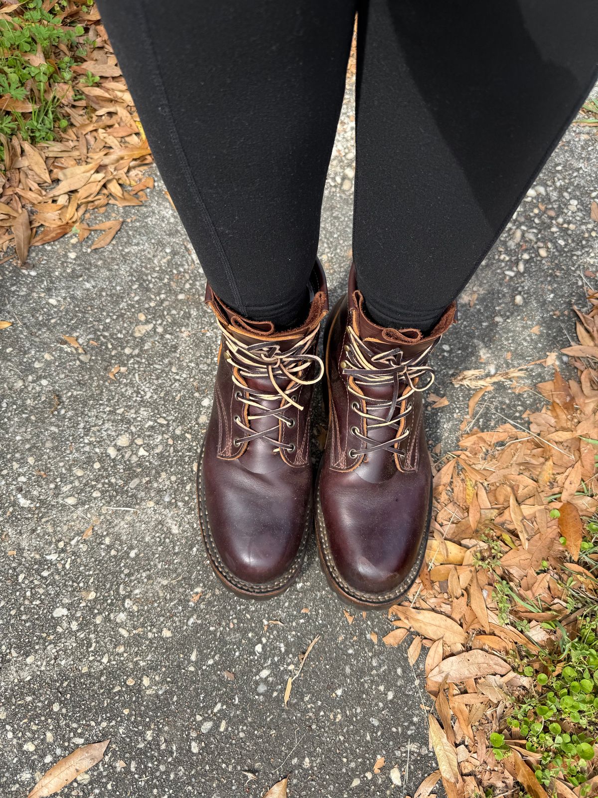 Photo by PatinaThunderDazzle on March 28, 2025 of the Frank's Boots Wilshire in Seidel Brown Domain.