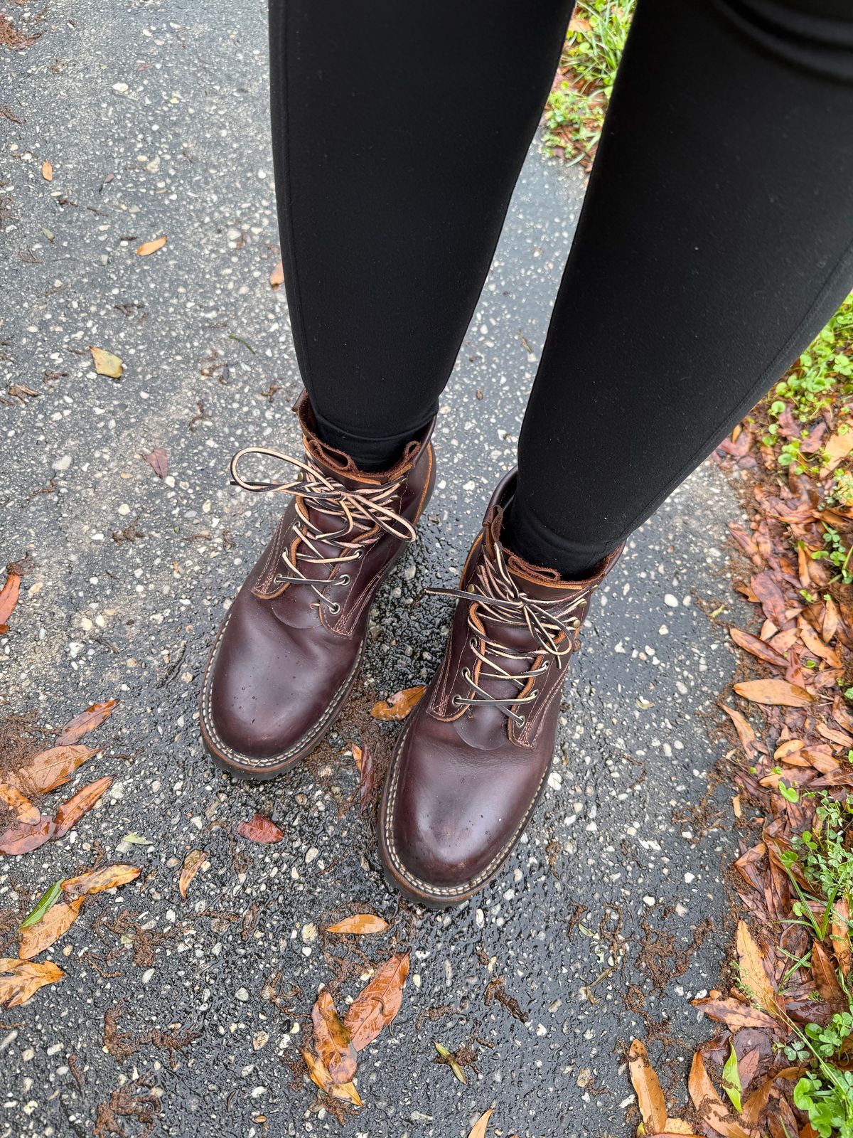 Photo by PatinaThunderDazzle on April 7, 2025 of the Frank's Boots Wilshire in Seidel Brown Domain.