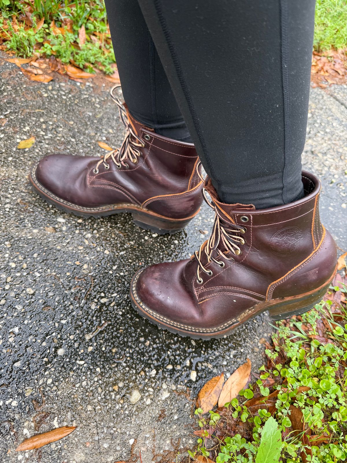 Photo by PatinaThunderDazzle on April 7, 2025 of the Frank's Boots Wilshire in Seidel Brown Domain.