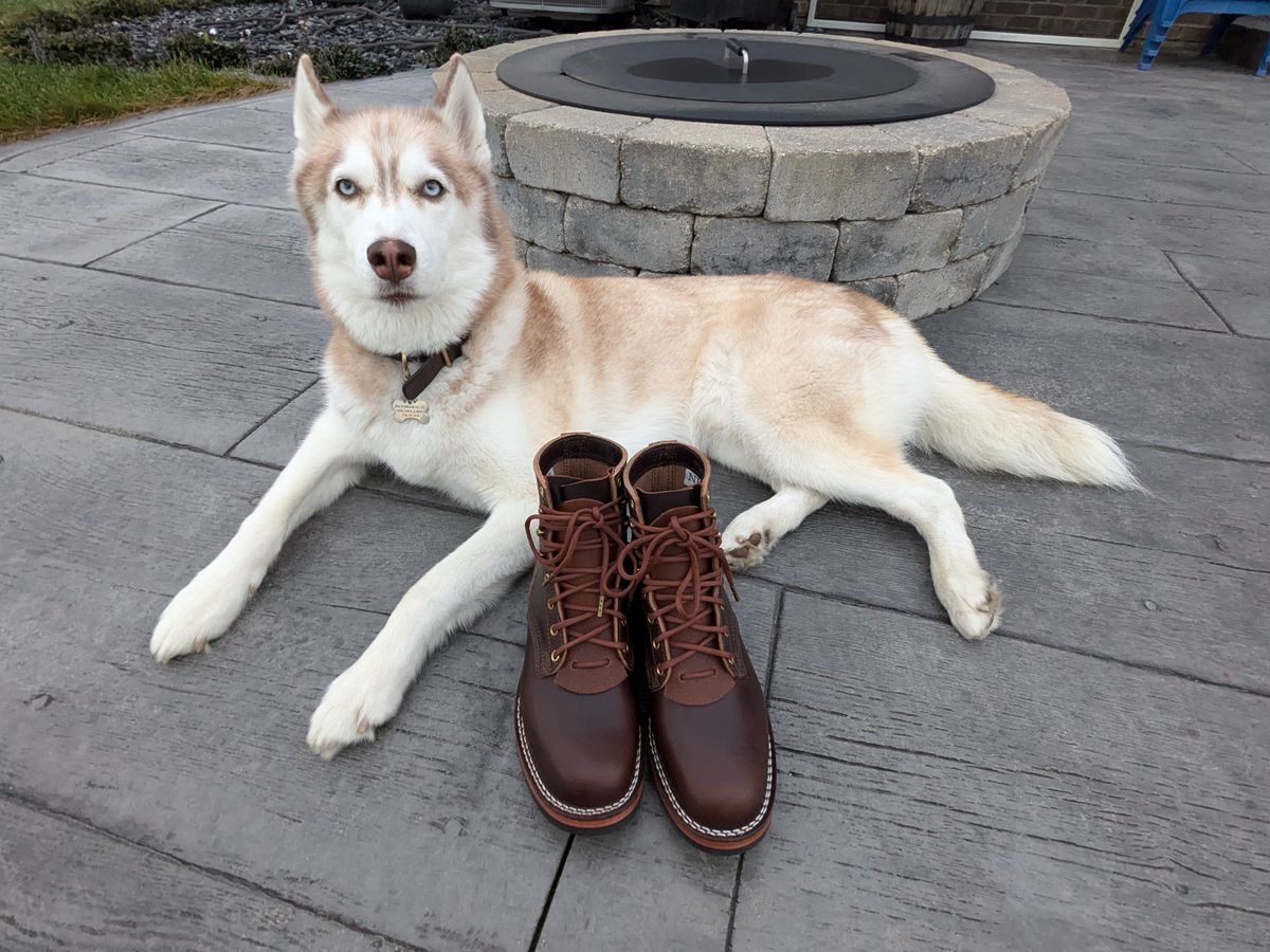 Photo by moeck14 on October 1, 2024 of the Nicks MTO in Horween Brown Chromexcel.