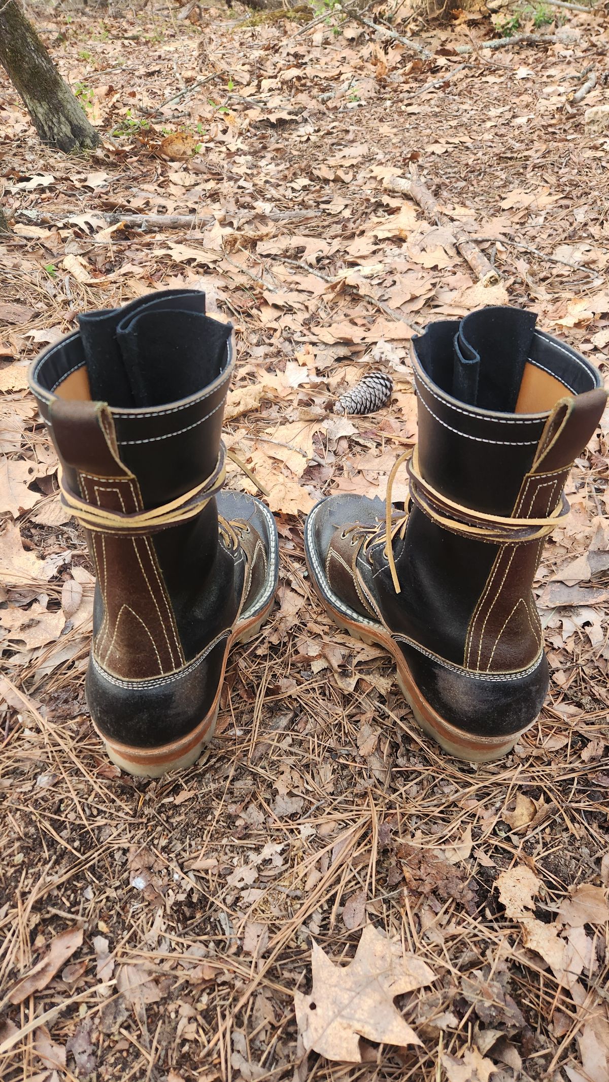 Photo by Hayduke on March 24, 2025 of the Frank's Boots Type 2 Highlander in Horween Black Waxed Flesh & Horween Cinnamon Waxed Flesh.