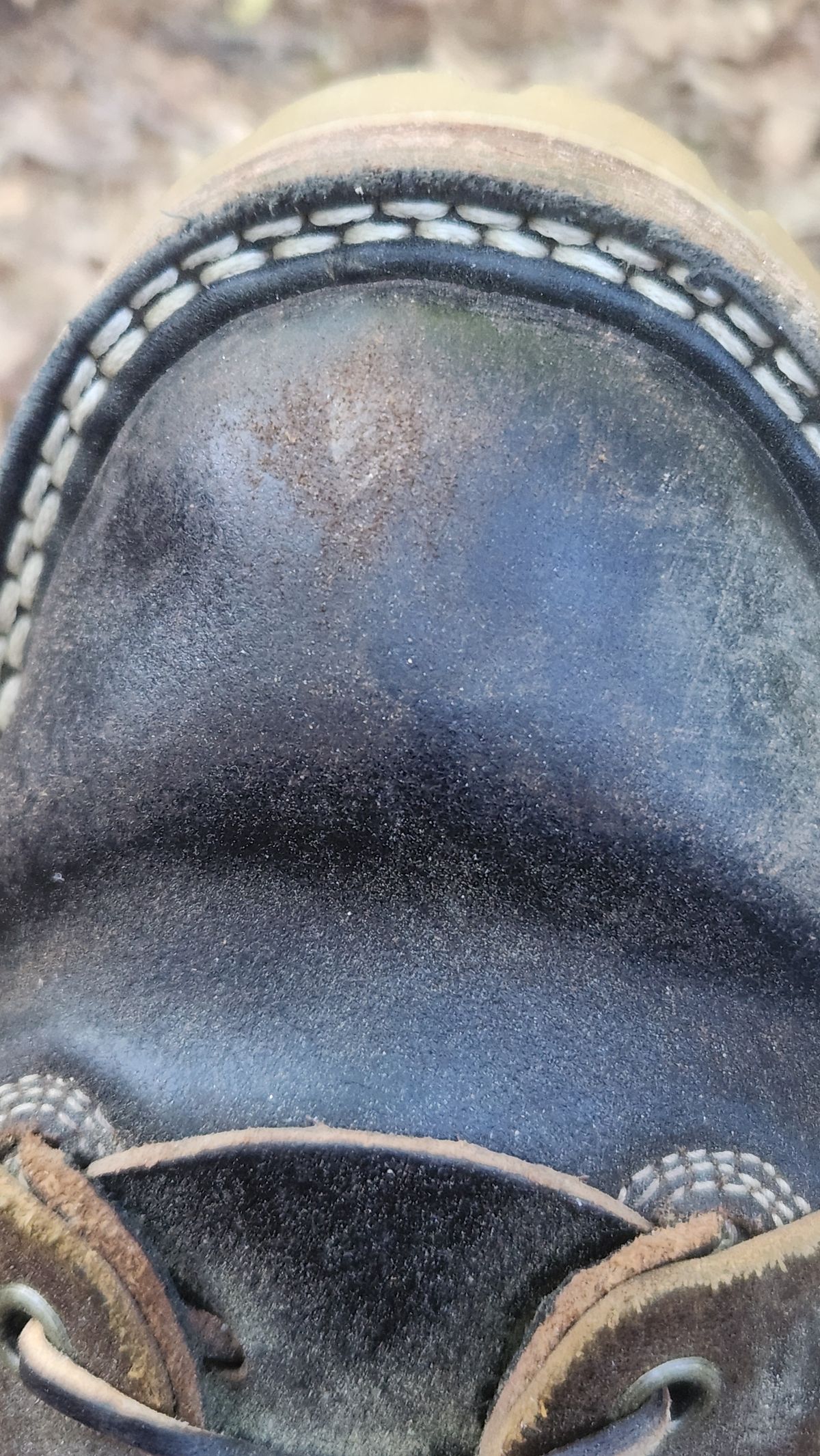 Photo by Hayduke on May 13, 2026 of the Frank's Boots Type 2 Highlander in Horween Black Waxed Flesh & Horween Cinnamon Waxed Flesh.