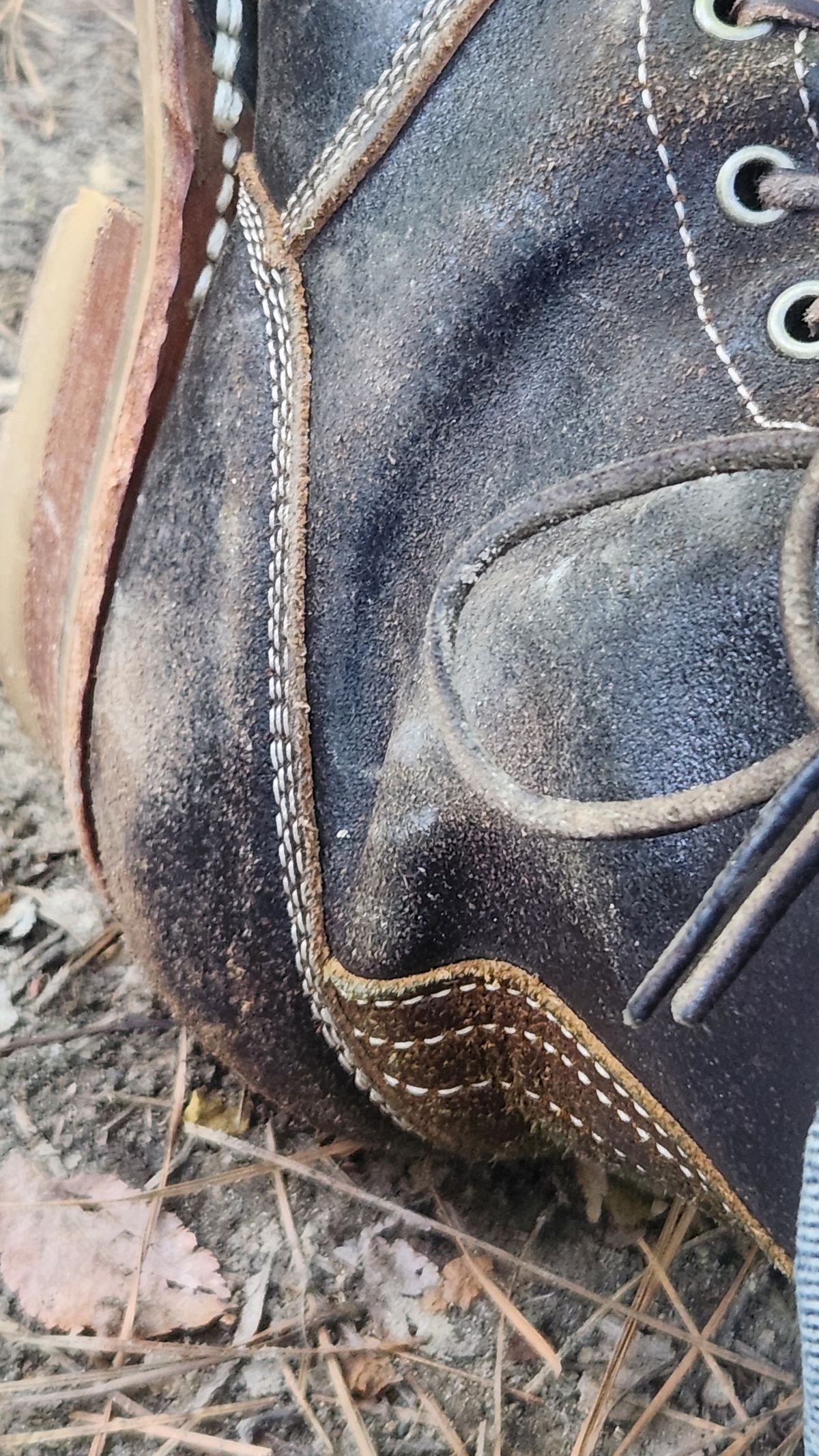 Photo by Hayduke on May 13, 2026 of the Frank's Boots Type 2 Highlander in Horween Black Waxed Flesh & Horween Cinnamon Waxed Flesh.