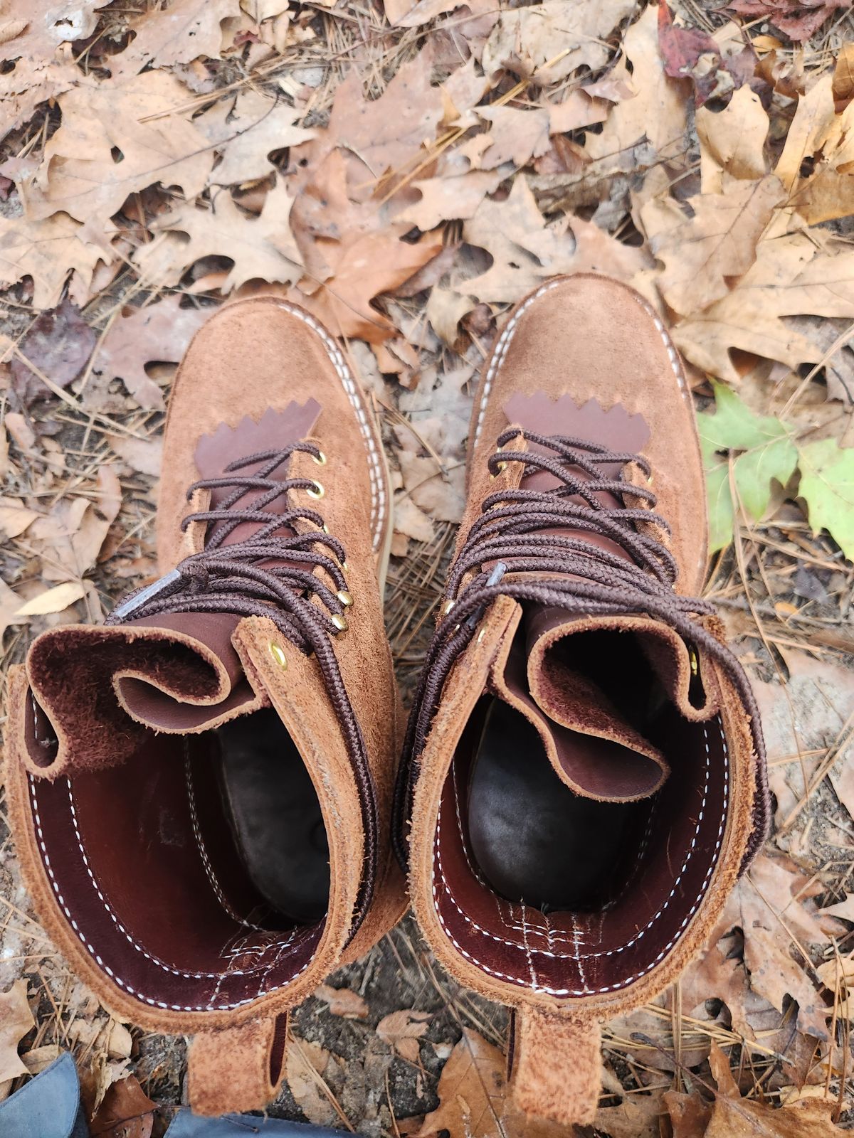 Photo by Hayduke on November 25, 2024 of the Frank's Boots Ranier in Seidel Chocolate Oil Tan Roughout.