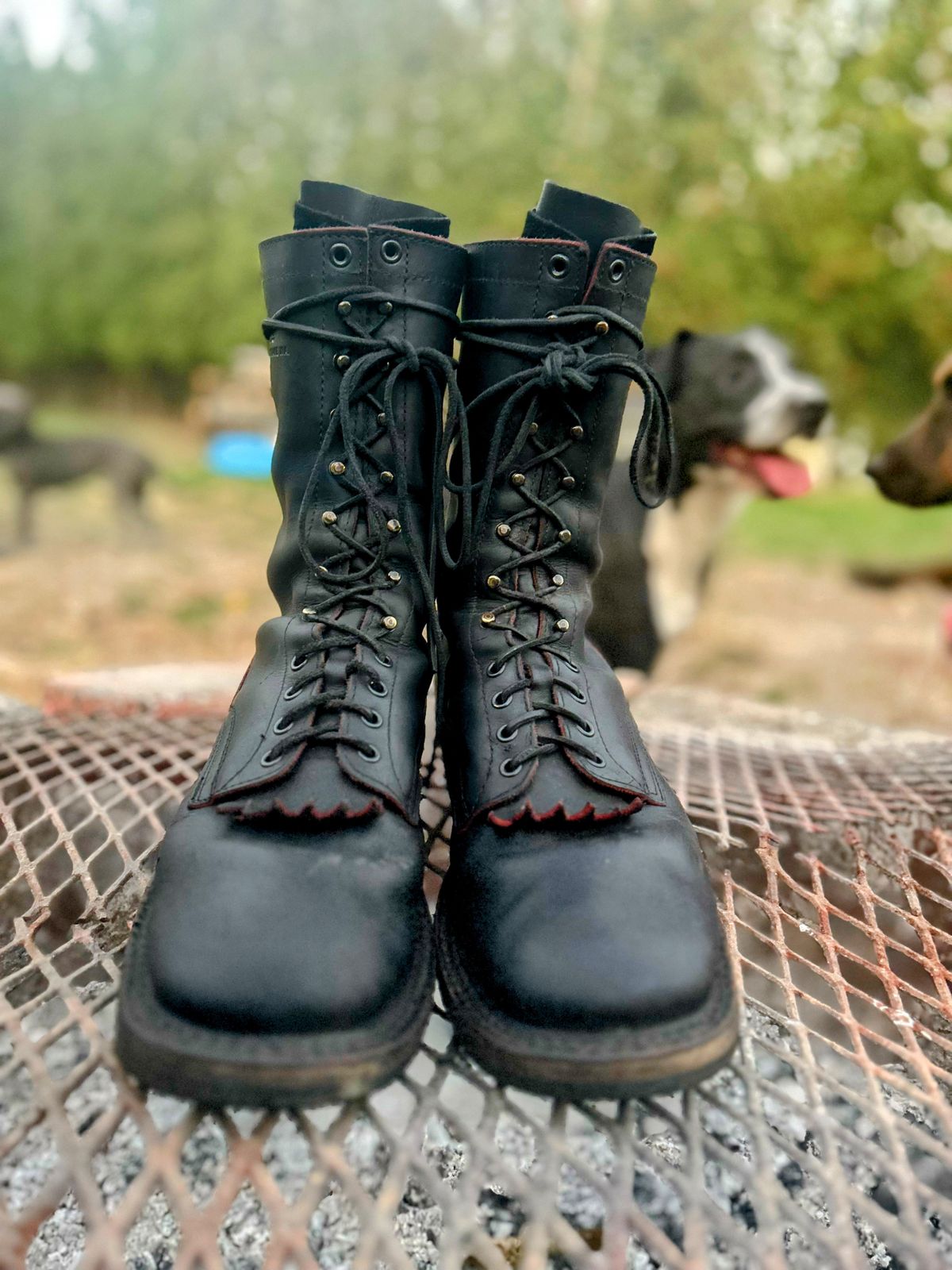 Photo by BlueAnarchy on November 3, 2025 of the White's Whites / X Rose Anvil Drifter 3.0 in Seidel Bloodcore.