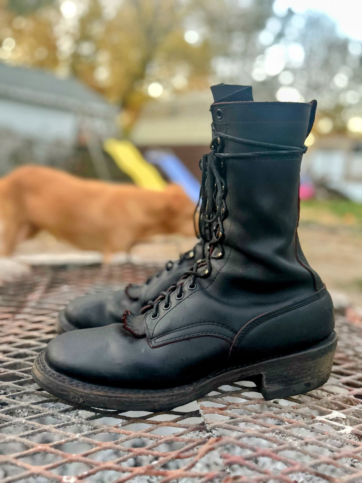 Photo by BlueAnarchy on November 3, 2025 of the White's Whites / X Rose Anvil Drifter 3.0 in Seidel Bloodcore.