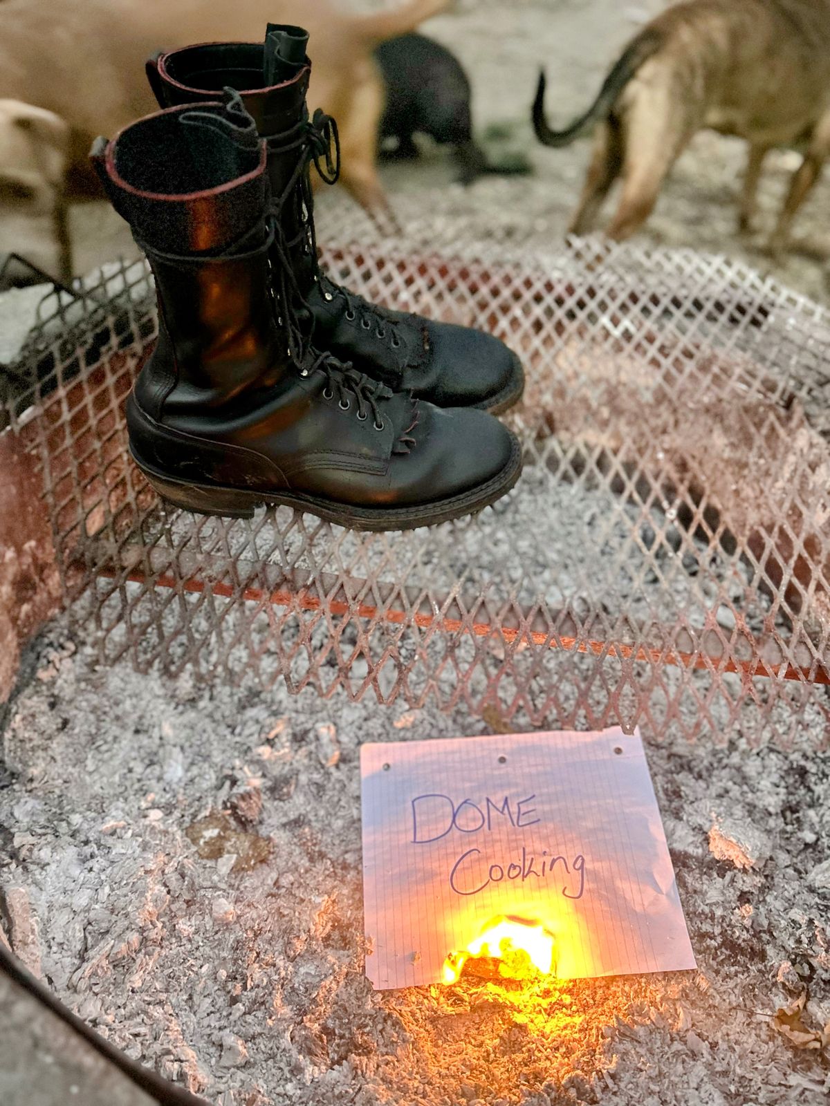 Photo by BlueAnarchy on November 3, 2025 of the White's Whites / X Rose Anvil Drifter 3.0 in Seidel Bloodcore.