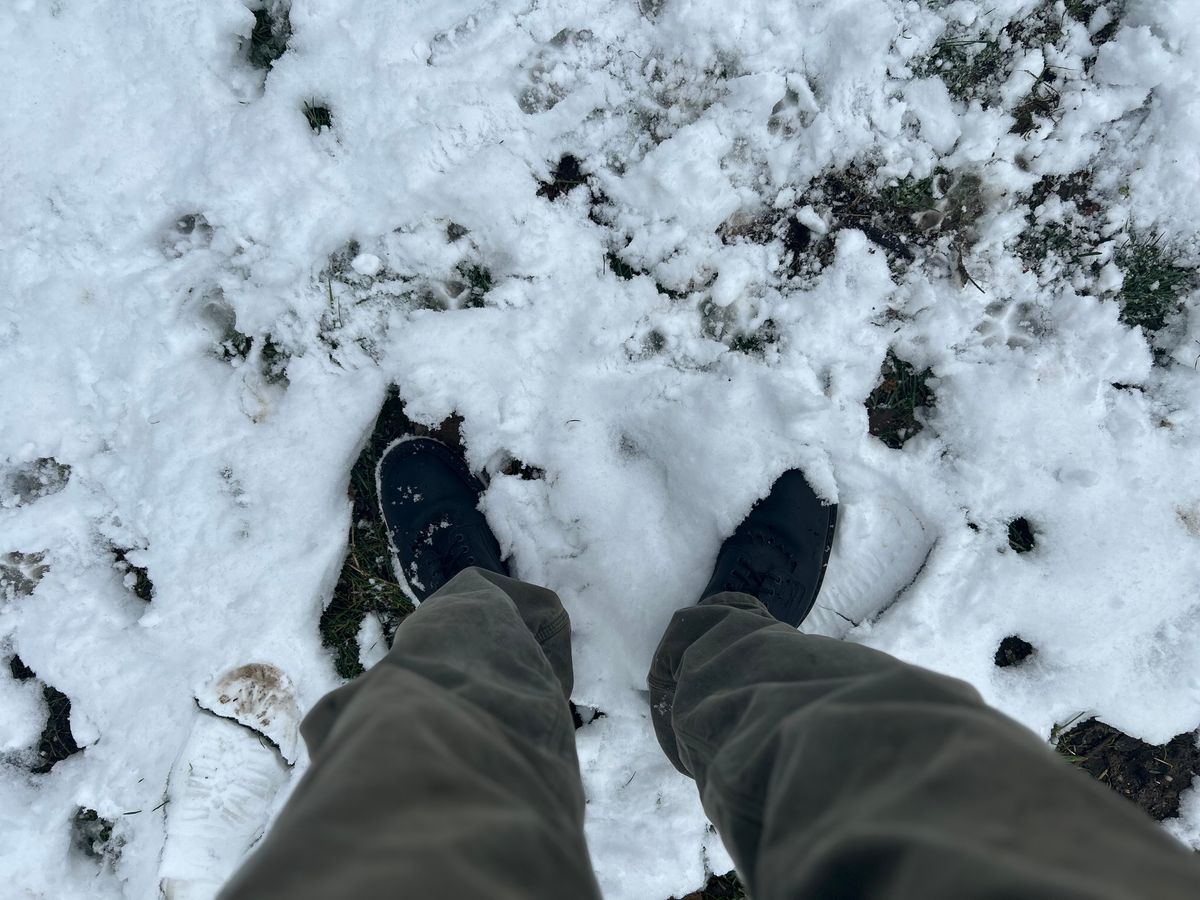 Photo by BlueAnarchy on November 9, 2025 of the White's Whites / X Rose Anvil Drifter 3.0 in Seidel Bloodcore.