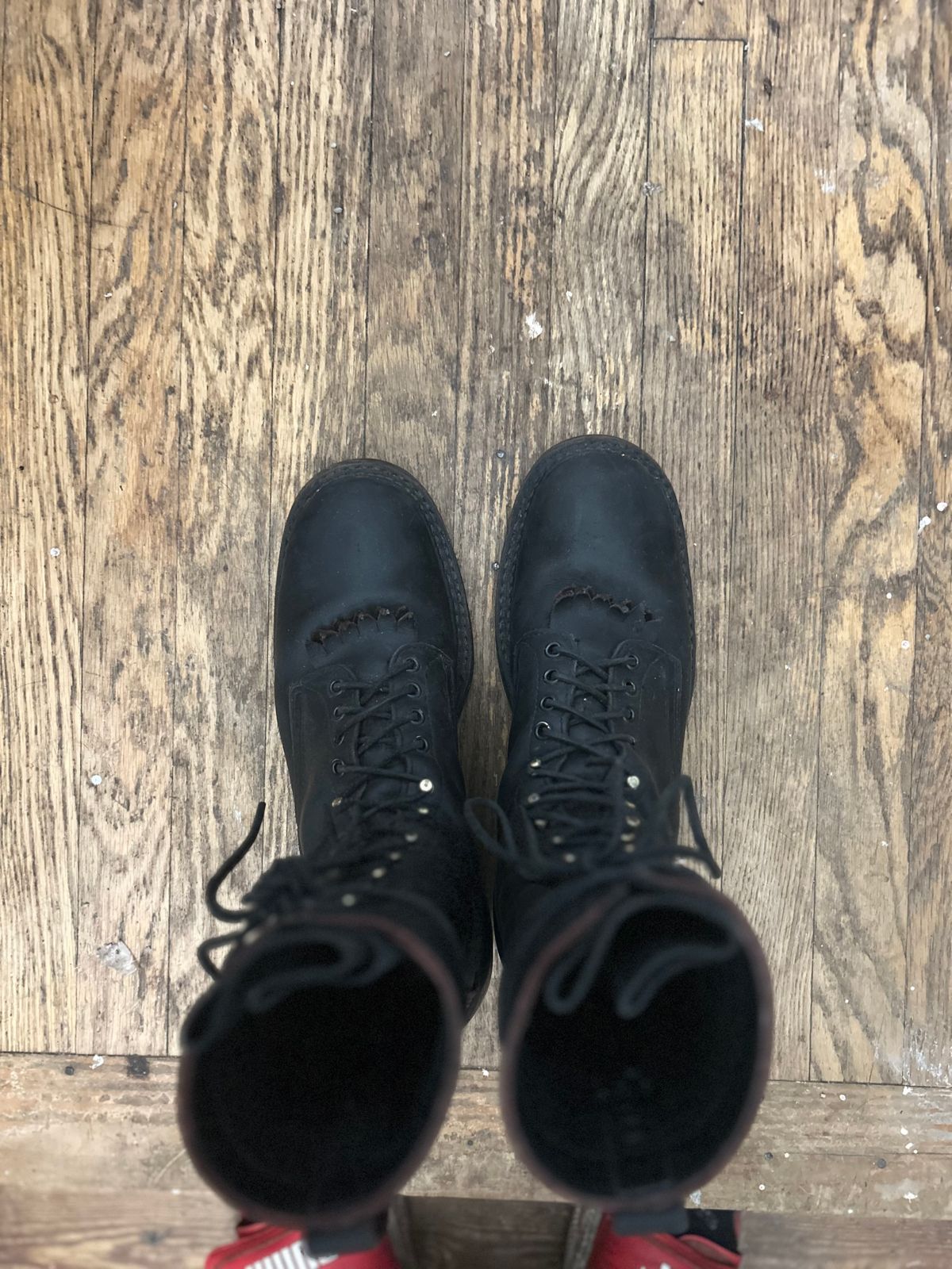 Photo by BlueAnarchy on December 6, 2025 of the White's Whites / X Rose Anvil Drifter 3.0 in Seidel Bloodcore.