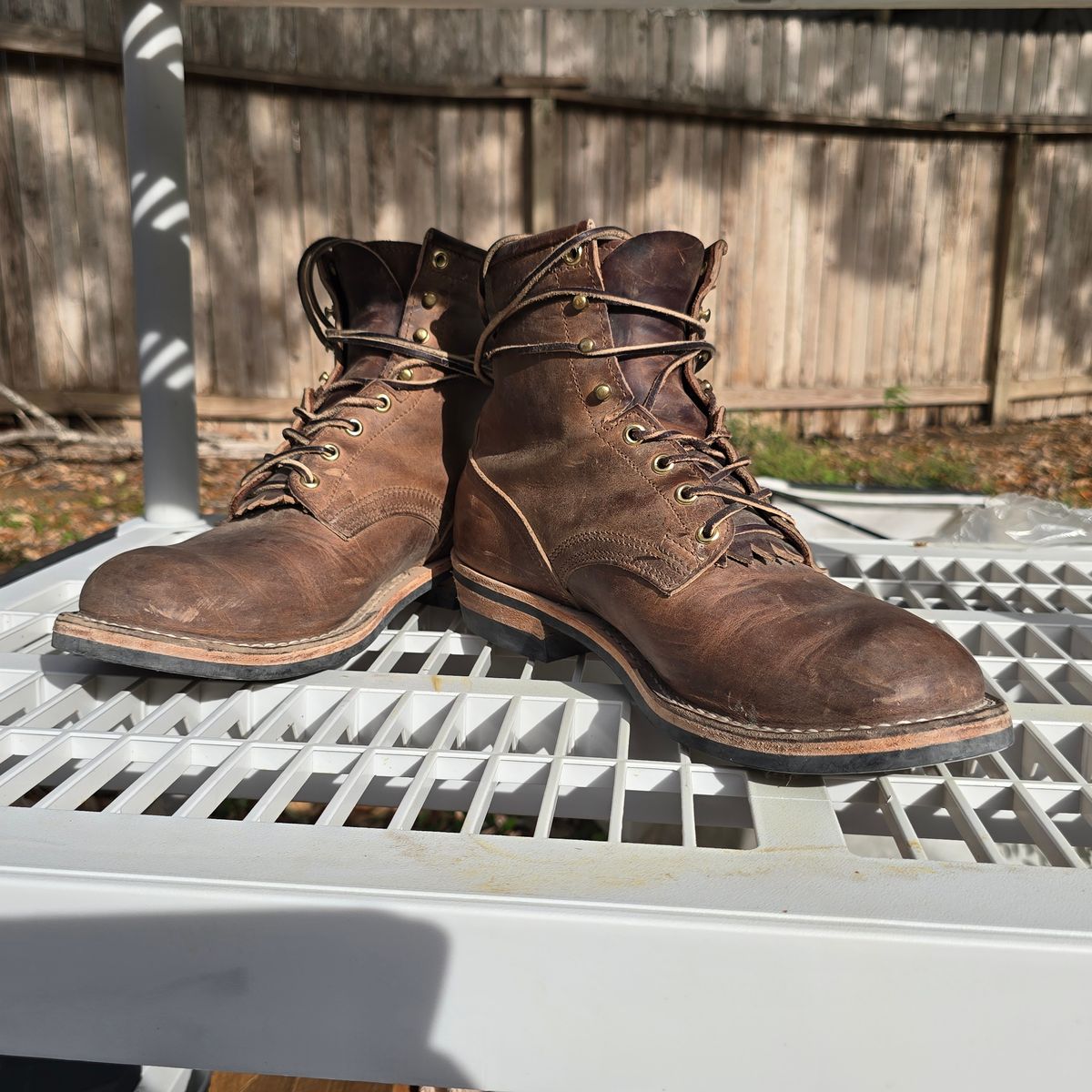 Photo by ARealSea on April 5, 2026 of the Nicks Hd Lace Up in Predator Natural.