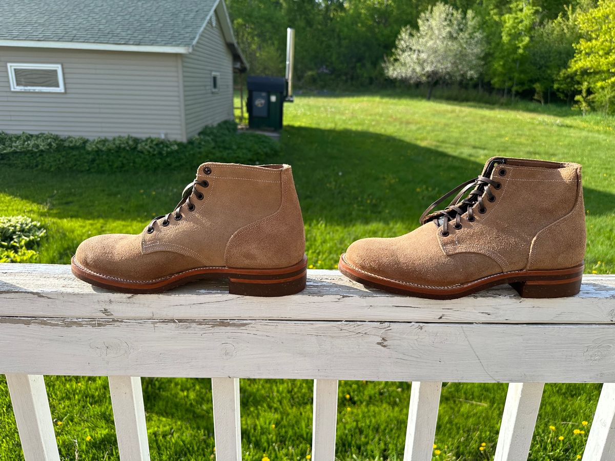 Photo by ds on May 27, 2025 of the Oak Street Bootmakers Storm Boot in Horween Natural Chromexcel Roughout.