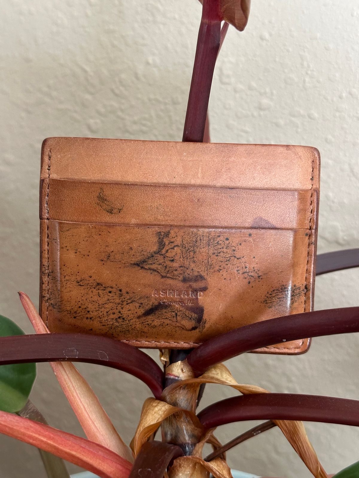 Photo by ds on March 8, 2025 of the Ashland Leather Frank The Enforcer in Horween Color 8 Shell Cordovan Reverse.