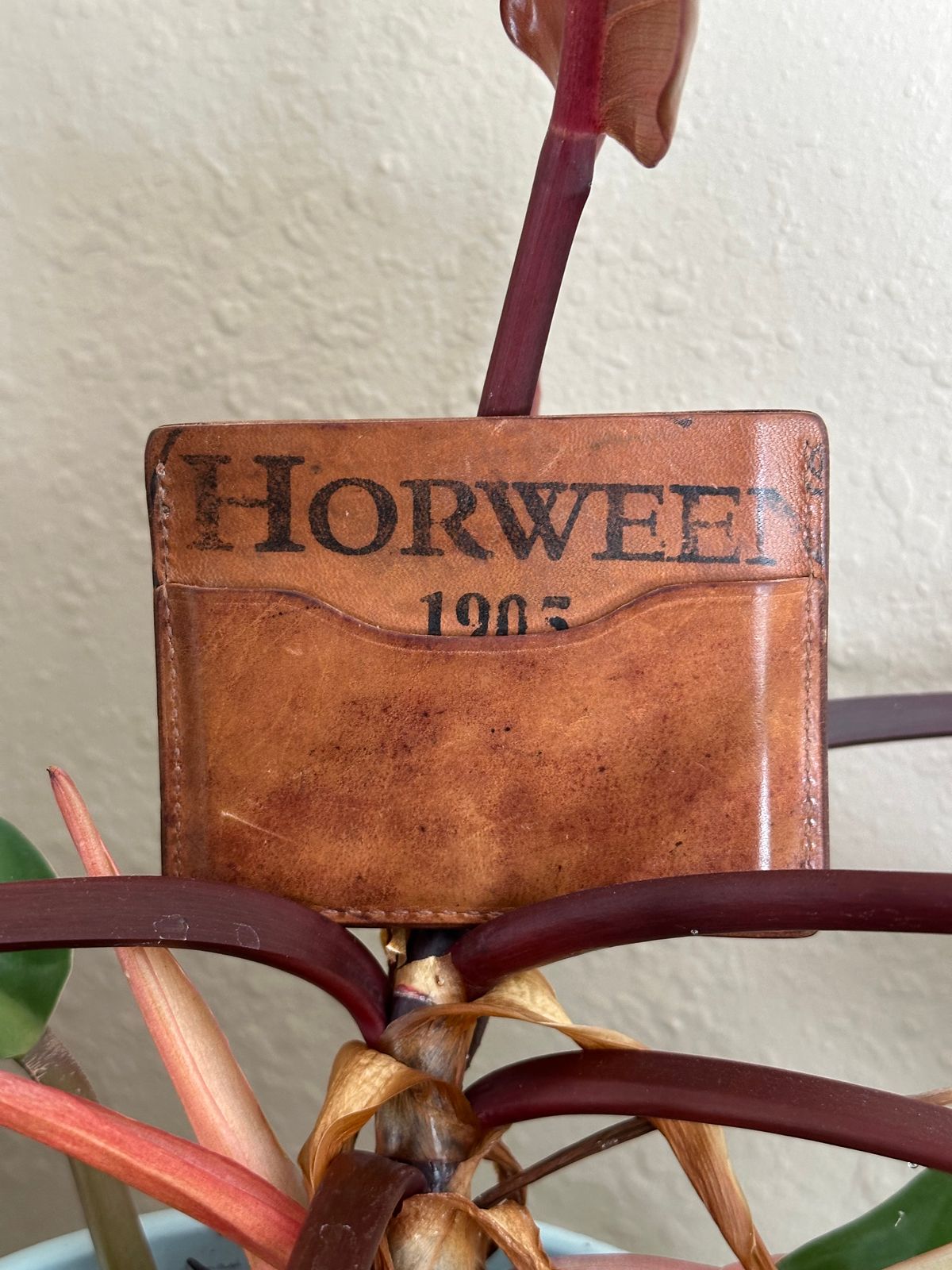 Photo by ds on March 8, 2025 of the Ashland Leather Frank The Enforcer in Horween Color 8 Shell Cordovan Reverse.