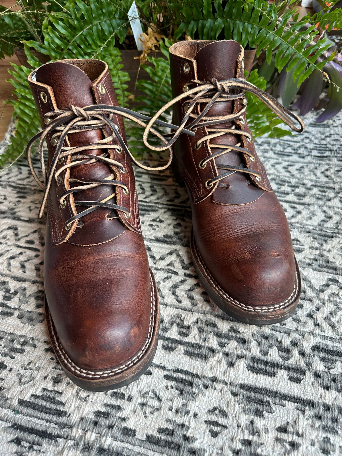 Photo by ds on July 8, 2024 of the Nicks AL64 in Italian Brown Cypress.