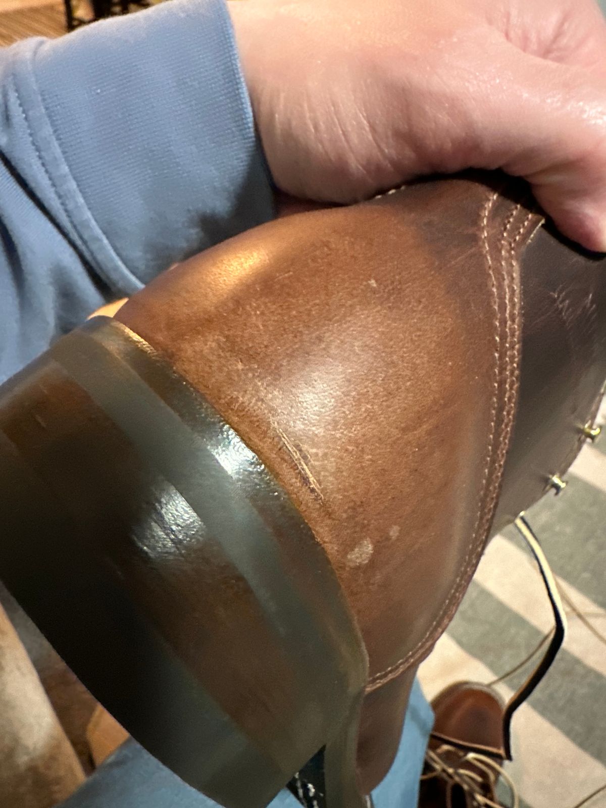 Photo by ds on April 3, 2024 of the Nicks AL64 in Italian Brown Cypress.