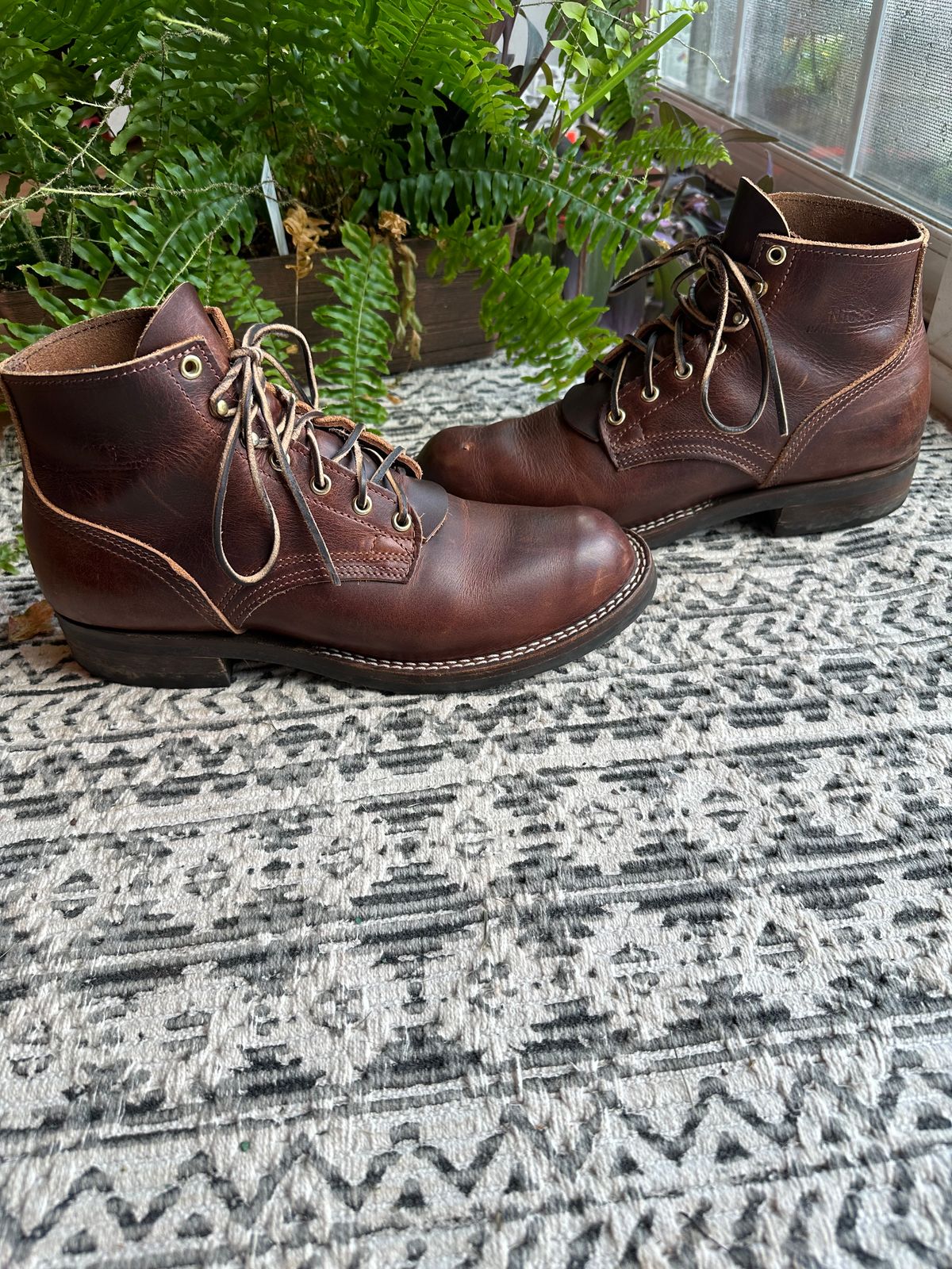 Photo by ds on July 8, 2024 of the Nicks AL64 in Italian Brown Cypress.