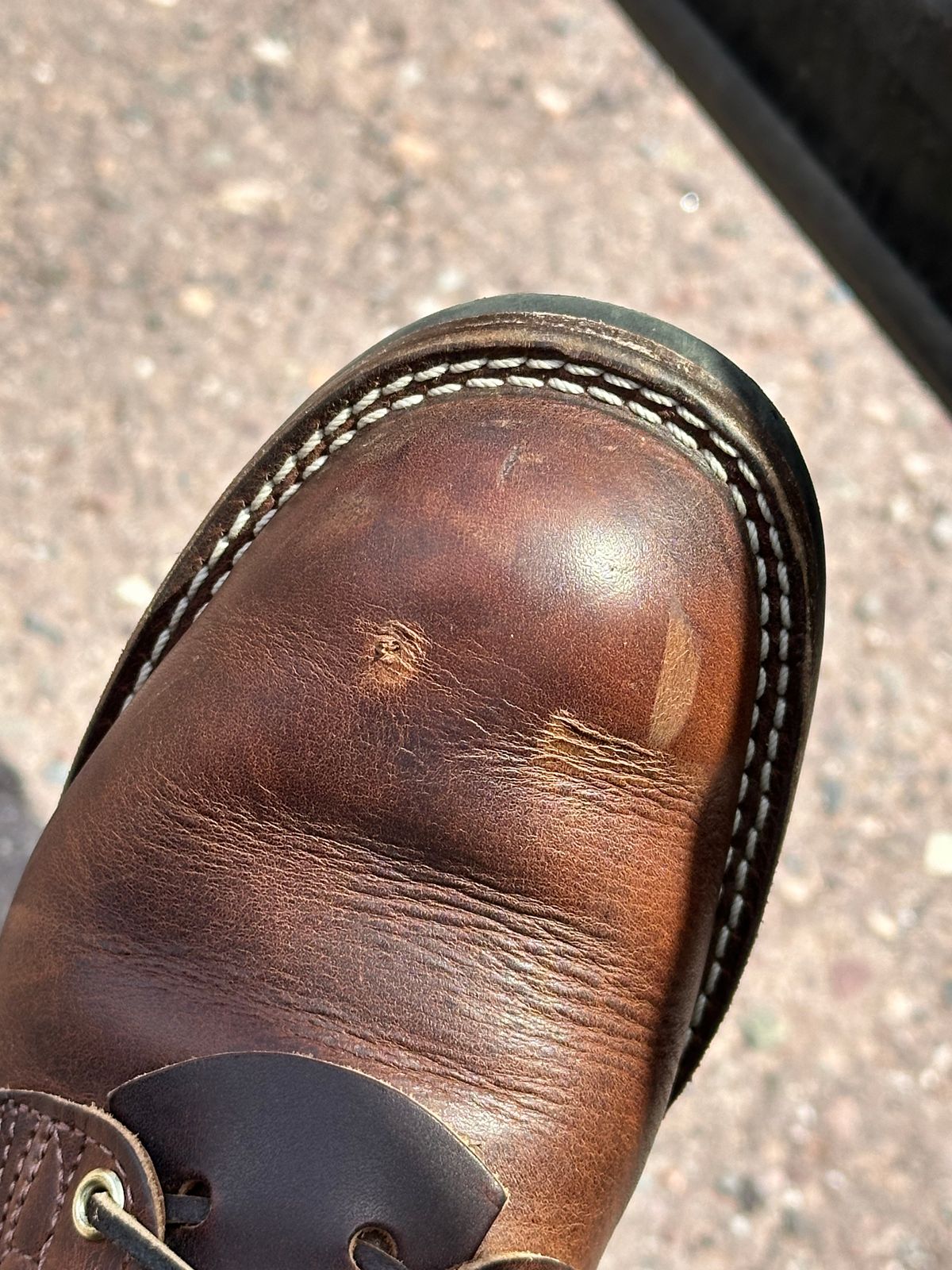 Photo by ds on June 19, 2024 of the Nicks AL64 in Italian Brown Cypress.