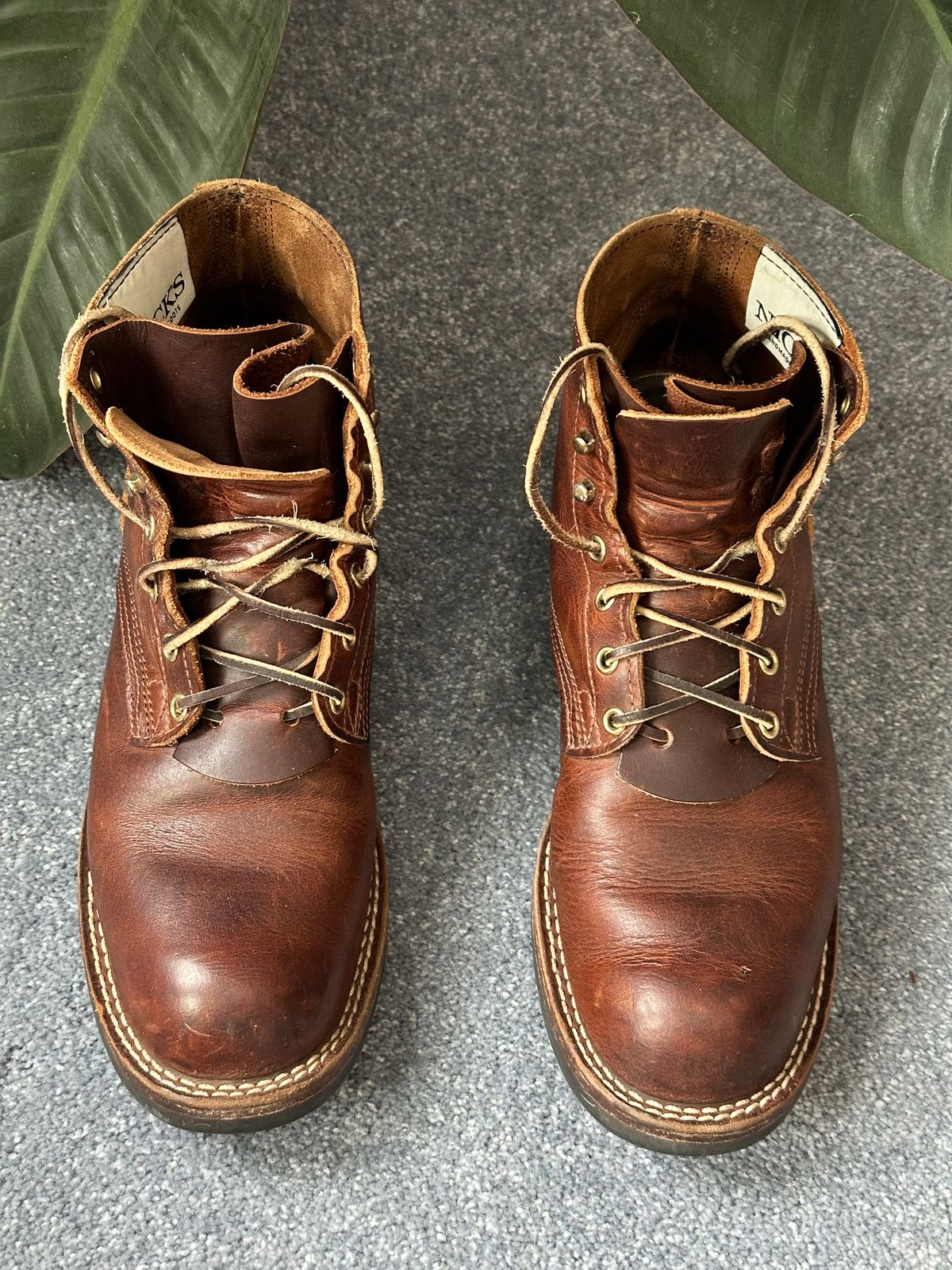 Photo by ds on March 8, 2025 of the Nicks AL64 in Italian Brown Cypress.