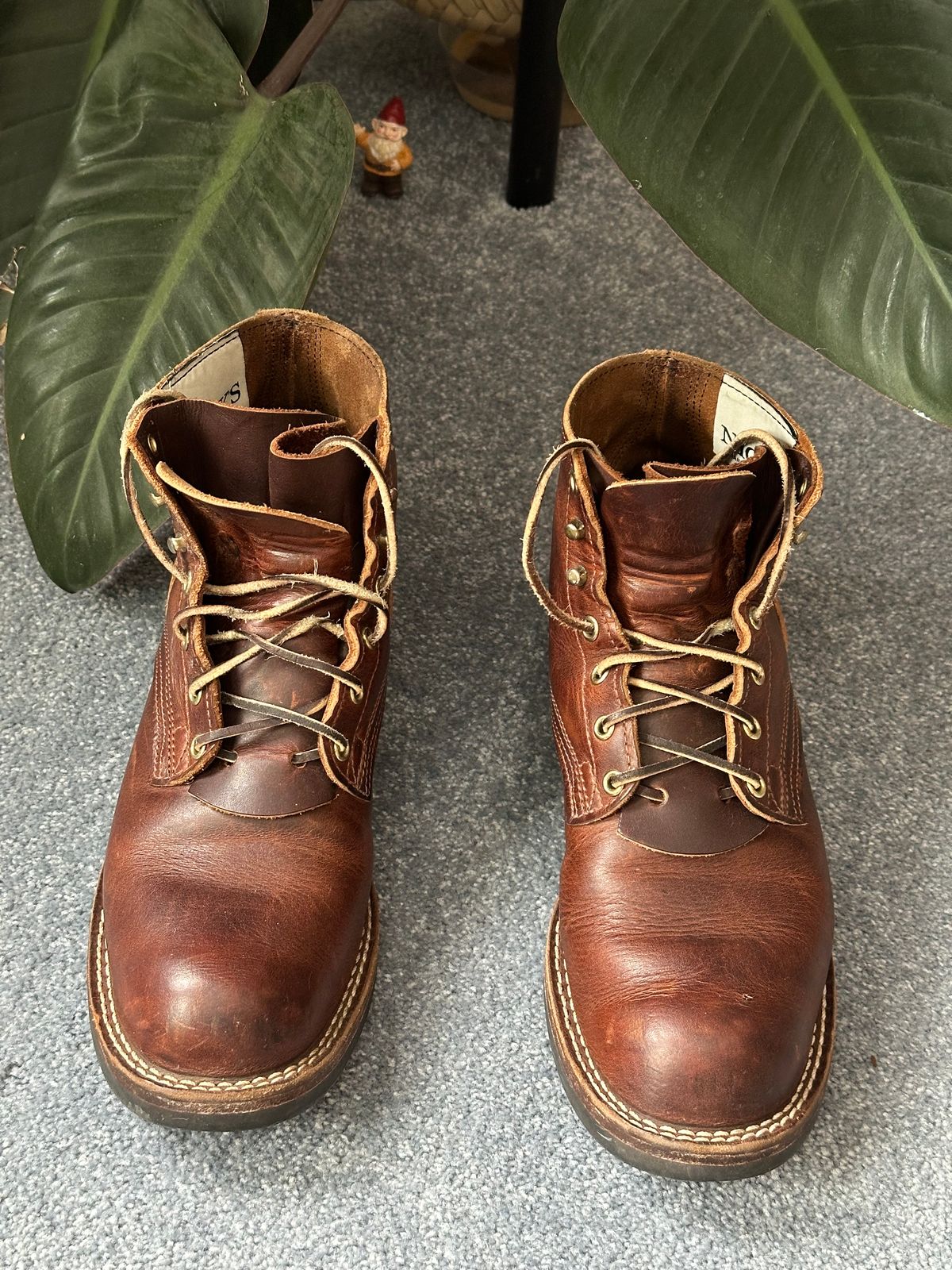 Photo by ds on March 8, 2025 of the Nicks AL64 in Italian Brown Cypress.