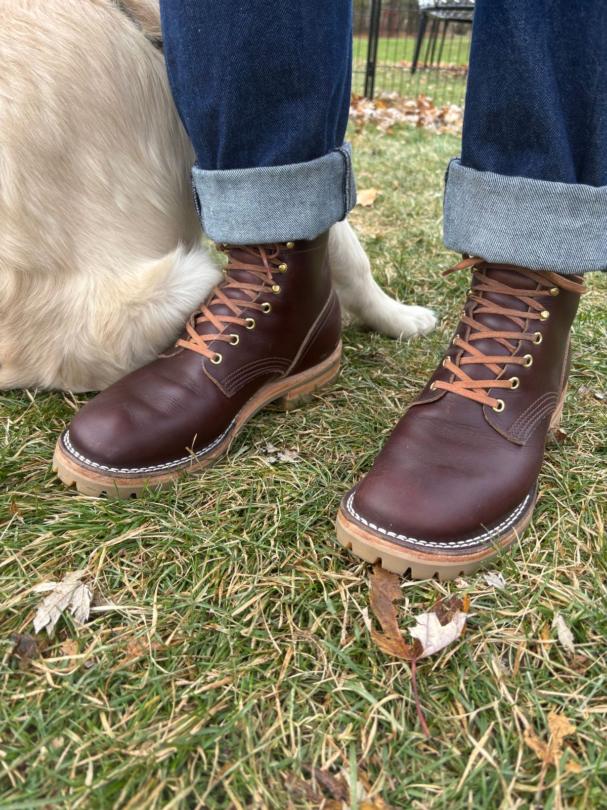 Photo by Sober_And_Faded on November 18, 2025 of the Nicks Ivan in Shackleton Brown.