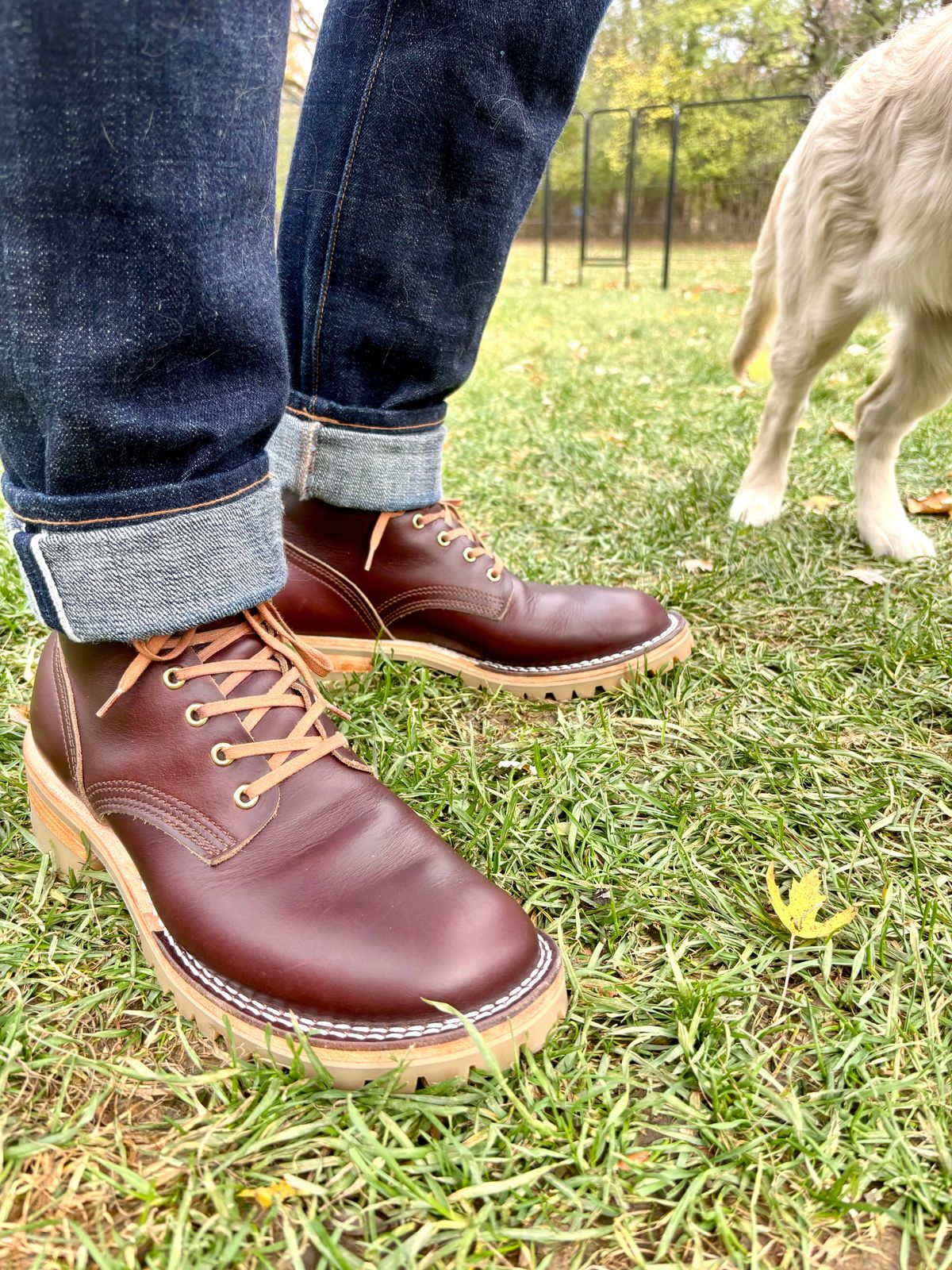 Photo by Sober_And_Faded on November 8, 2025 of the Nicks Ivan in Shackleton Brown.